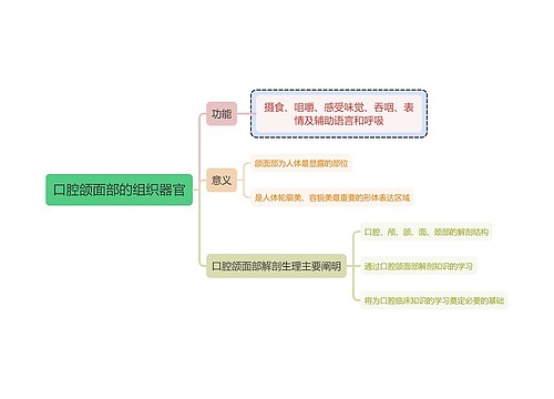 医学知识口腔颌面部的组织器官思维导图