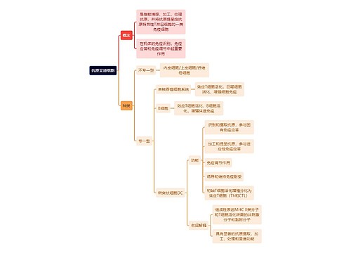 医学知识抗原呈递细胞思维导图