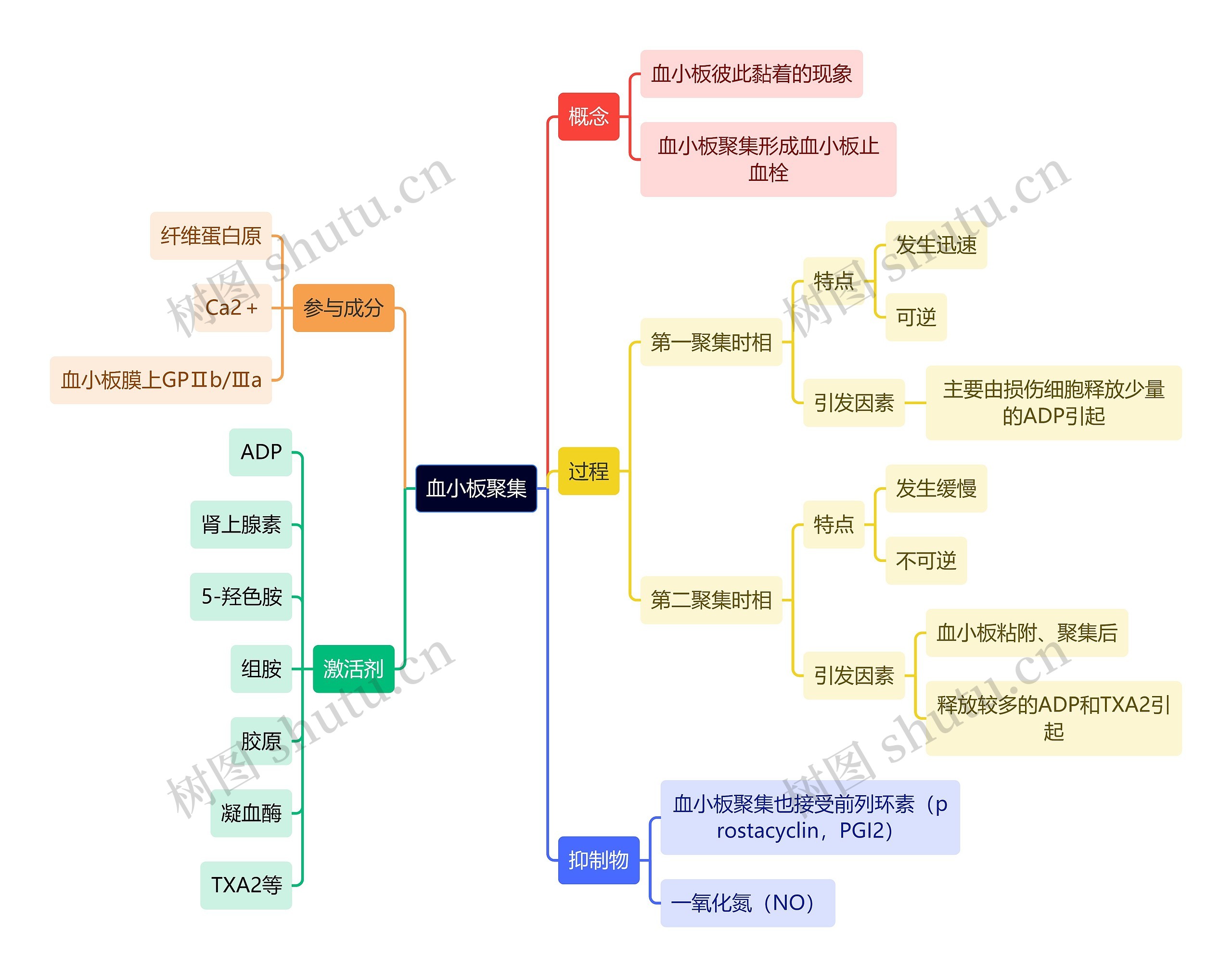 医学知识血小板聚集思维导图