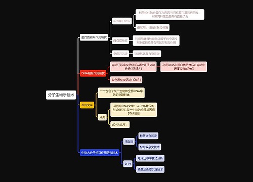 医学知识分子生物学技术思维导图