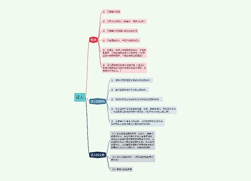 ﻿证人的思维导图