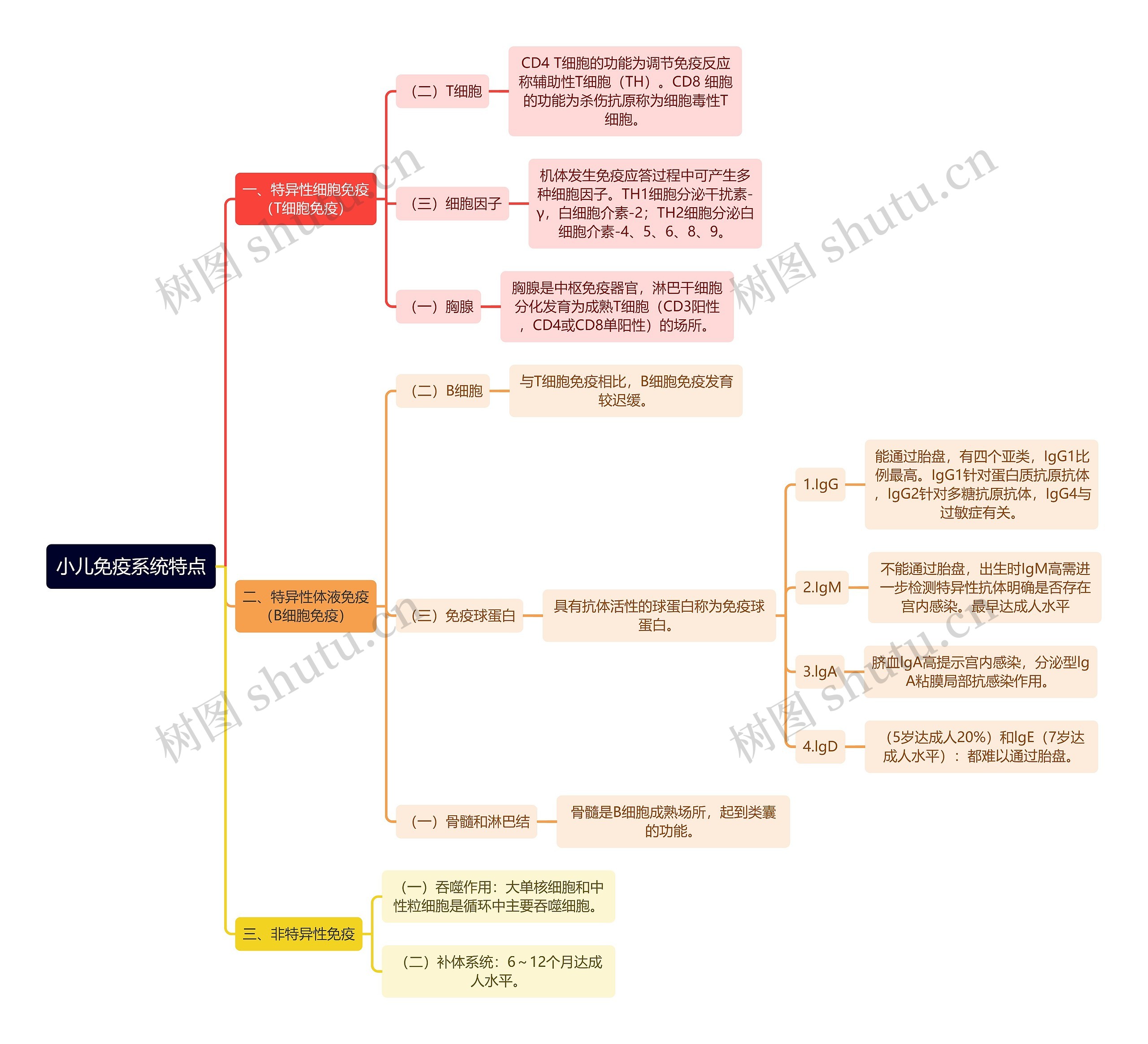 医学知识小儿免疫系统特点思维导图