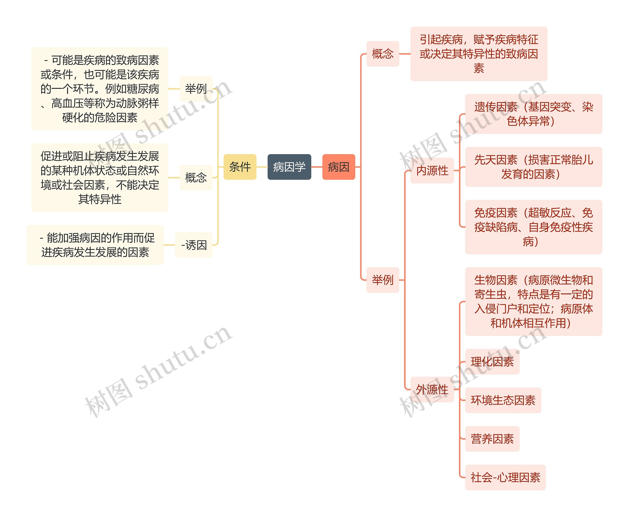 医学知识病因学思维导图