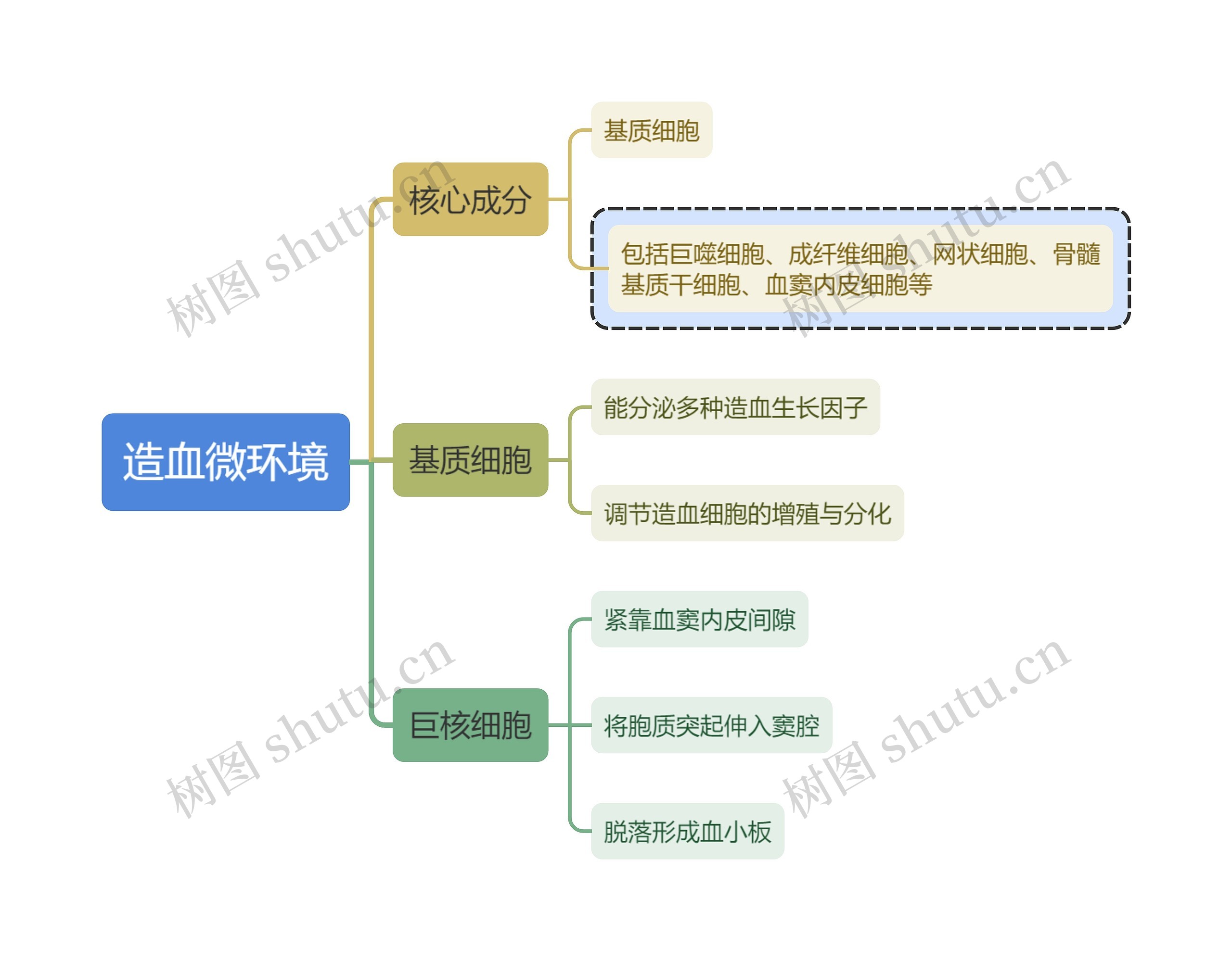 医学知识造血微环境思维导图