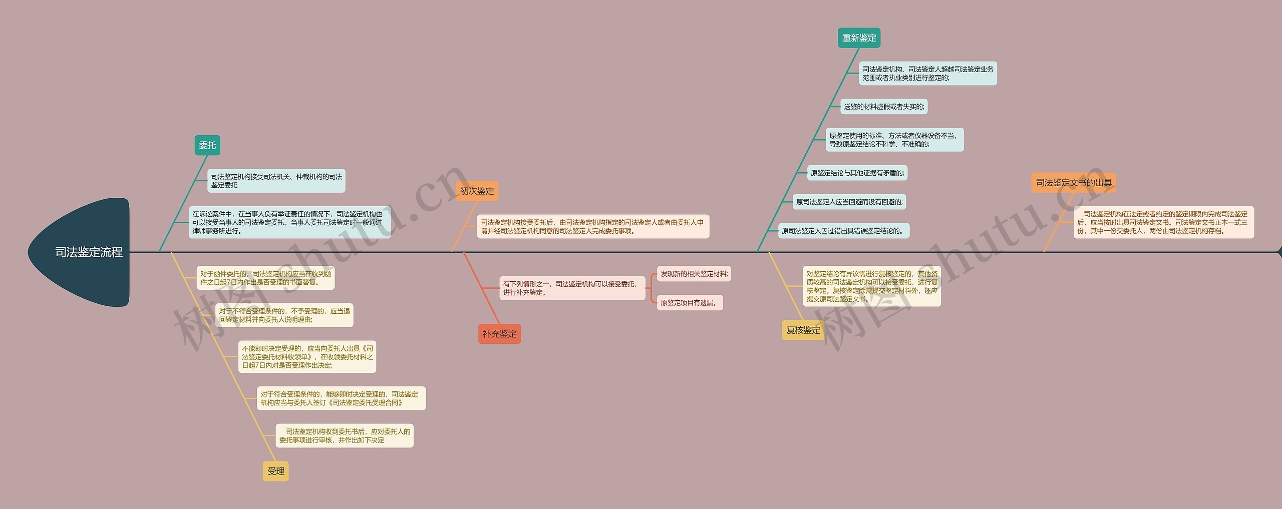 司法鉴定流程思维导图