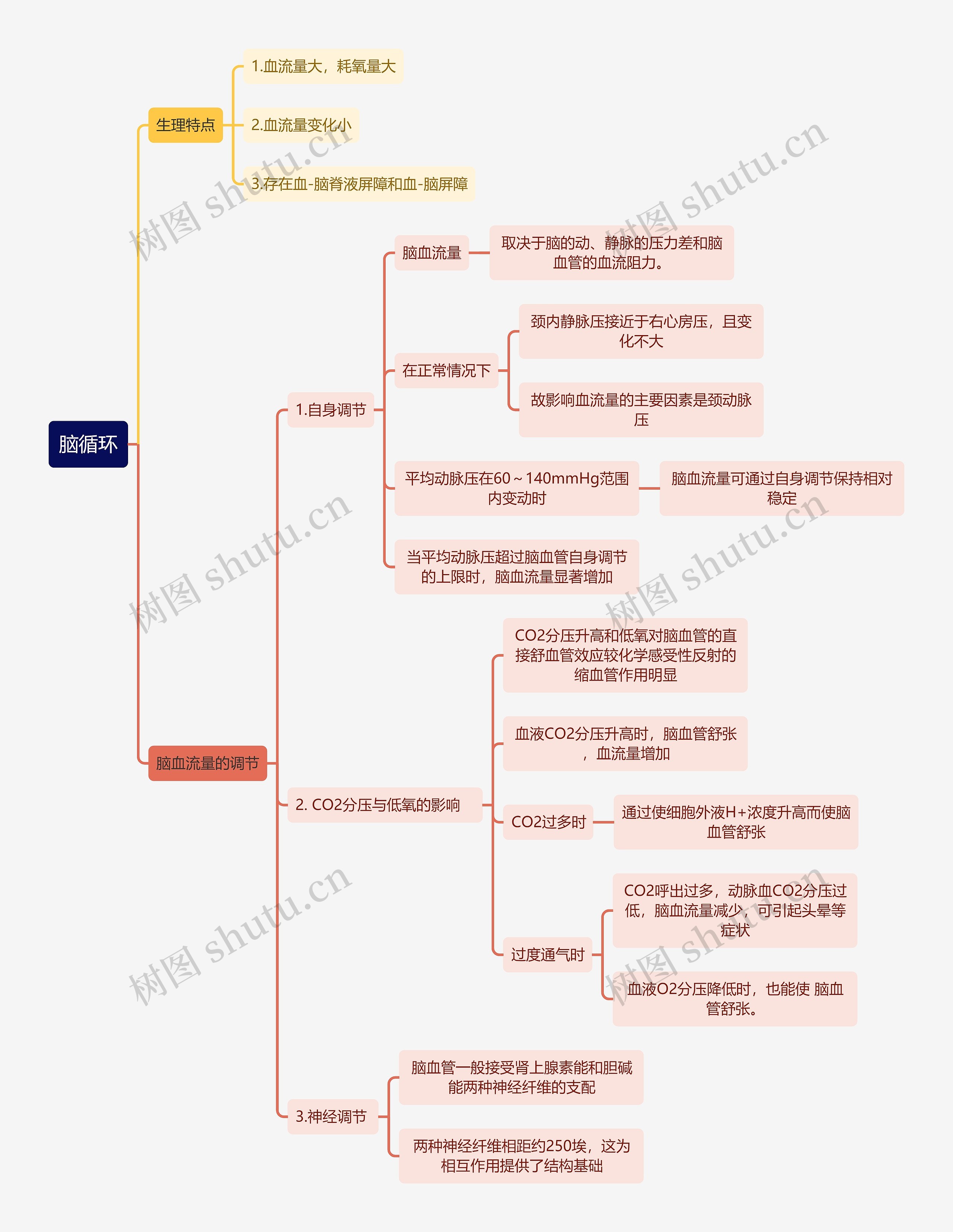 医学知识脑循环思维导图