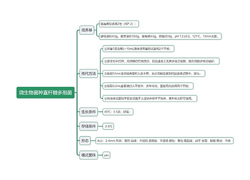 微生物菌种直杆糖多孢菌思维导图