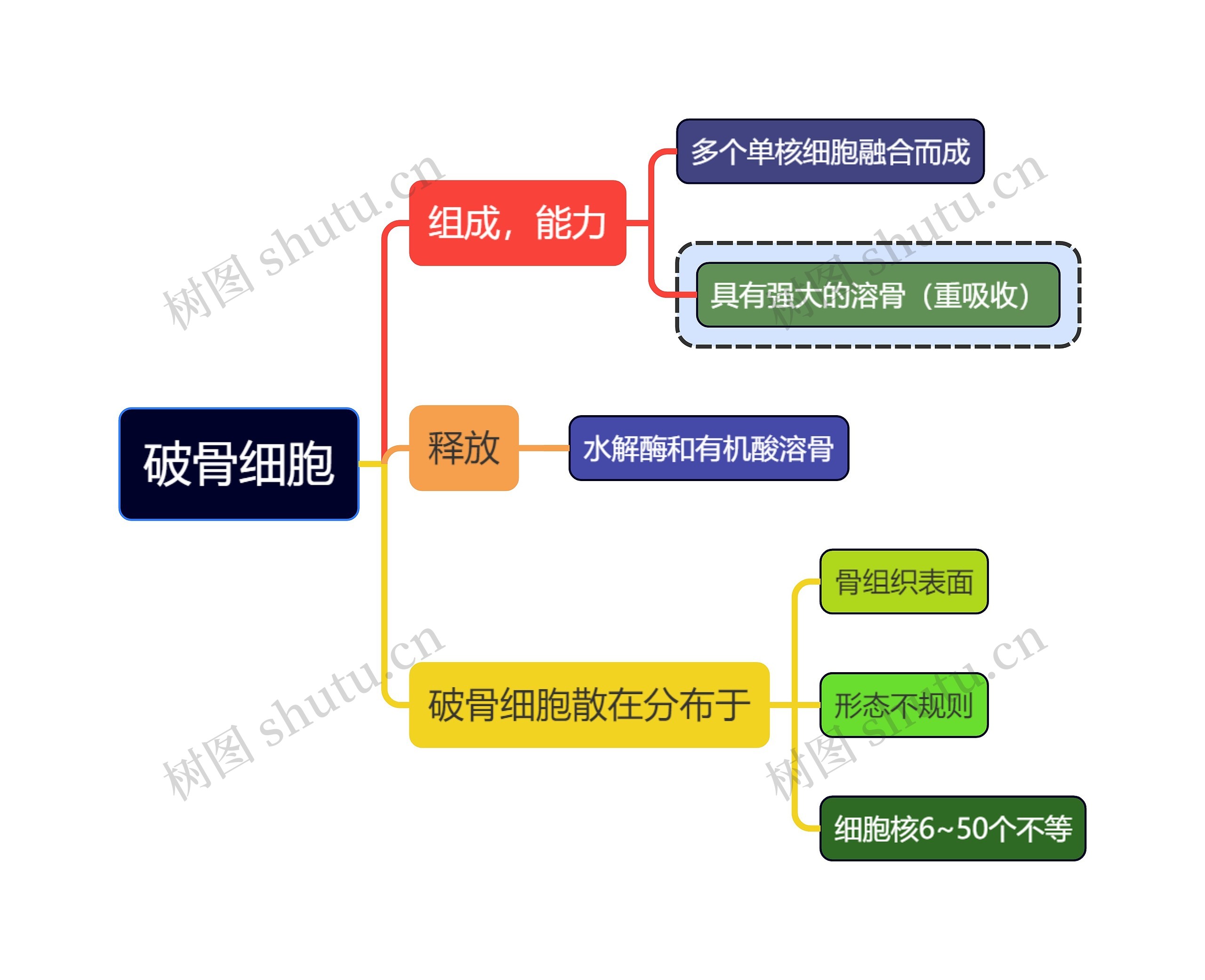 医学知识破骨细胞思维导图