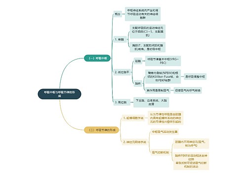 医学知识呼吸中枢与呼吸节律的形成思维导图