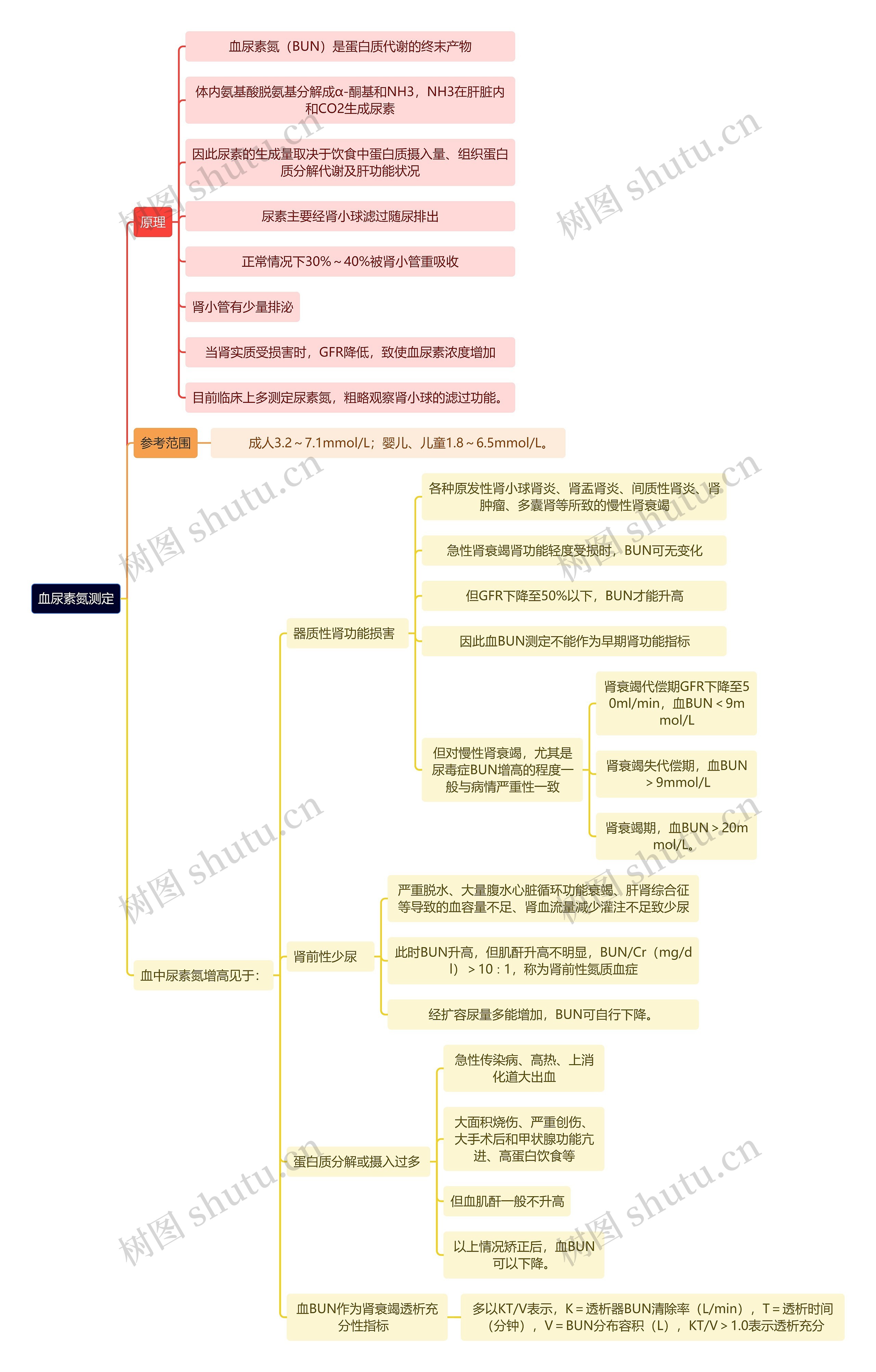 医学知识血尿素氮测定思维导图