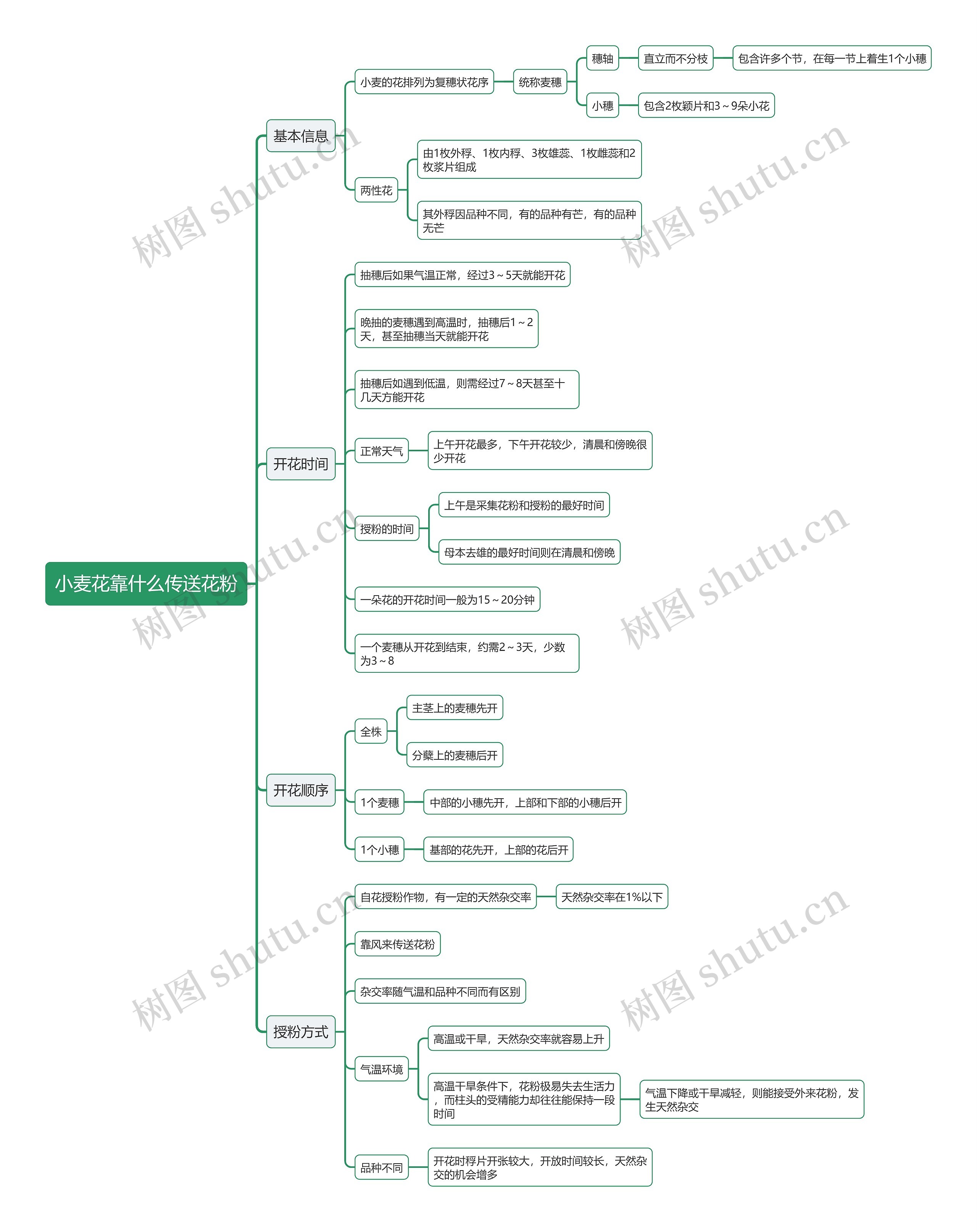 小麦花靠什么传送花粉思维导图
