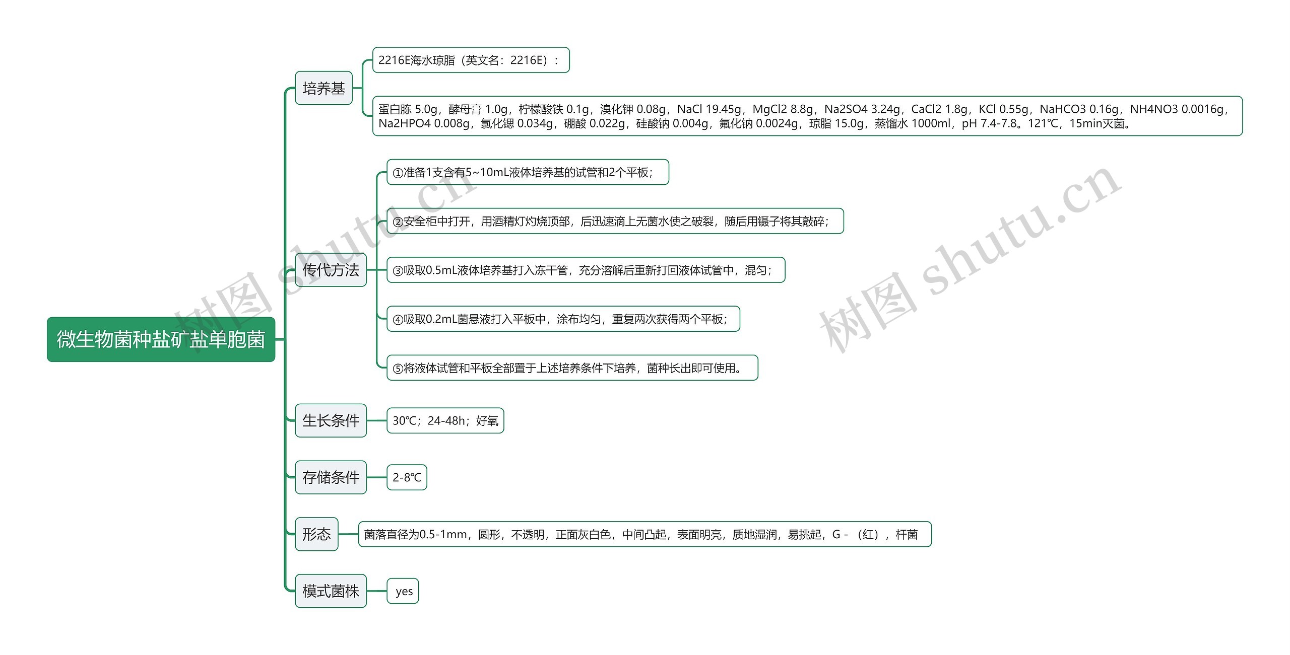 微生物菌种盐矿盐单胞菌思维导图