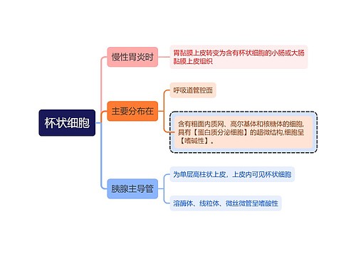 医学知识杯状细胞思维导图