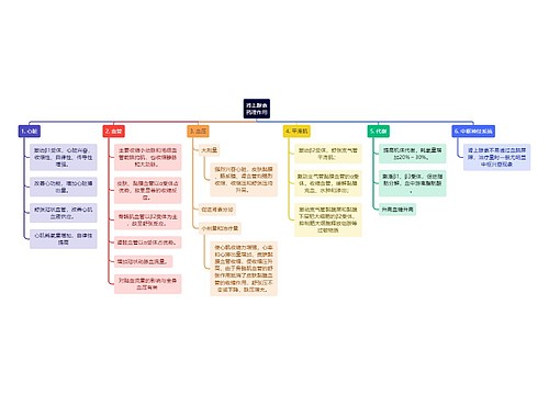 医学知识肾上腺素药理作用思维导图