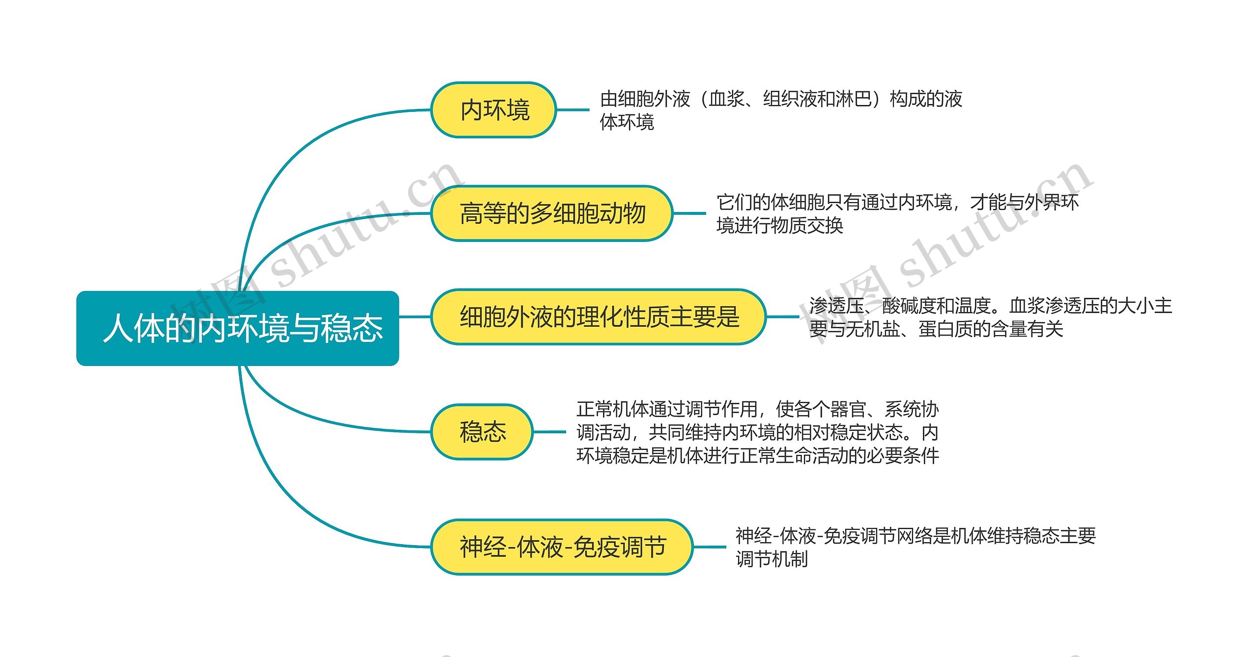 高中生物必修三人体的内环境与稳态思维导图