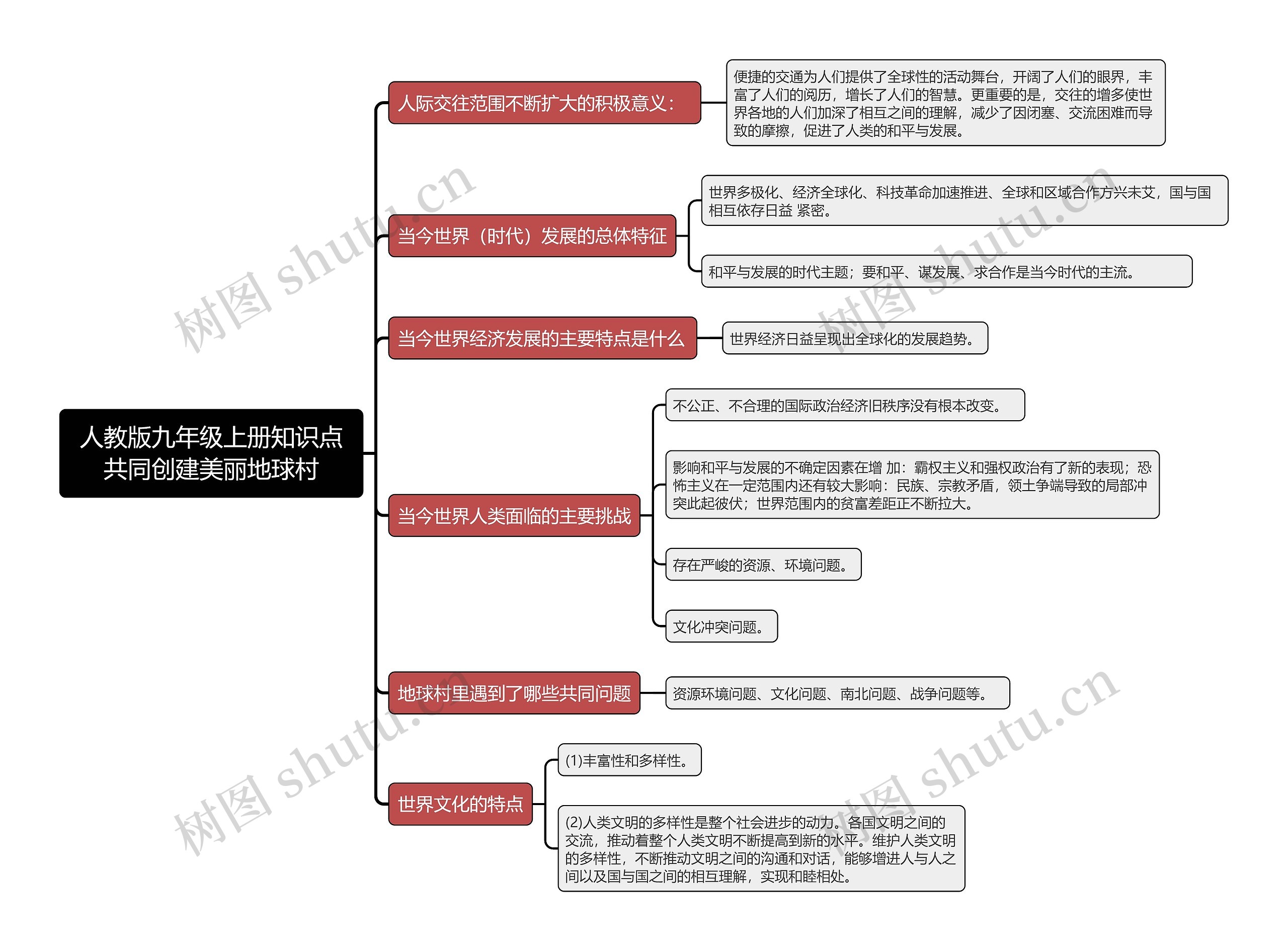 人教版九年级上册知识点共同创建美丽地球村