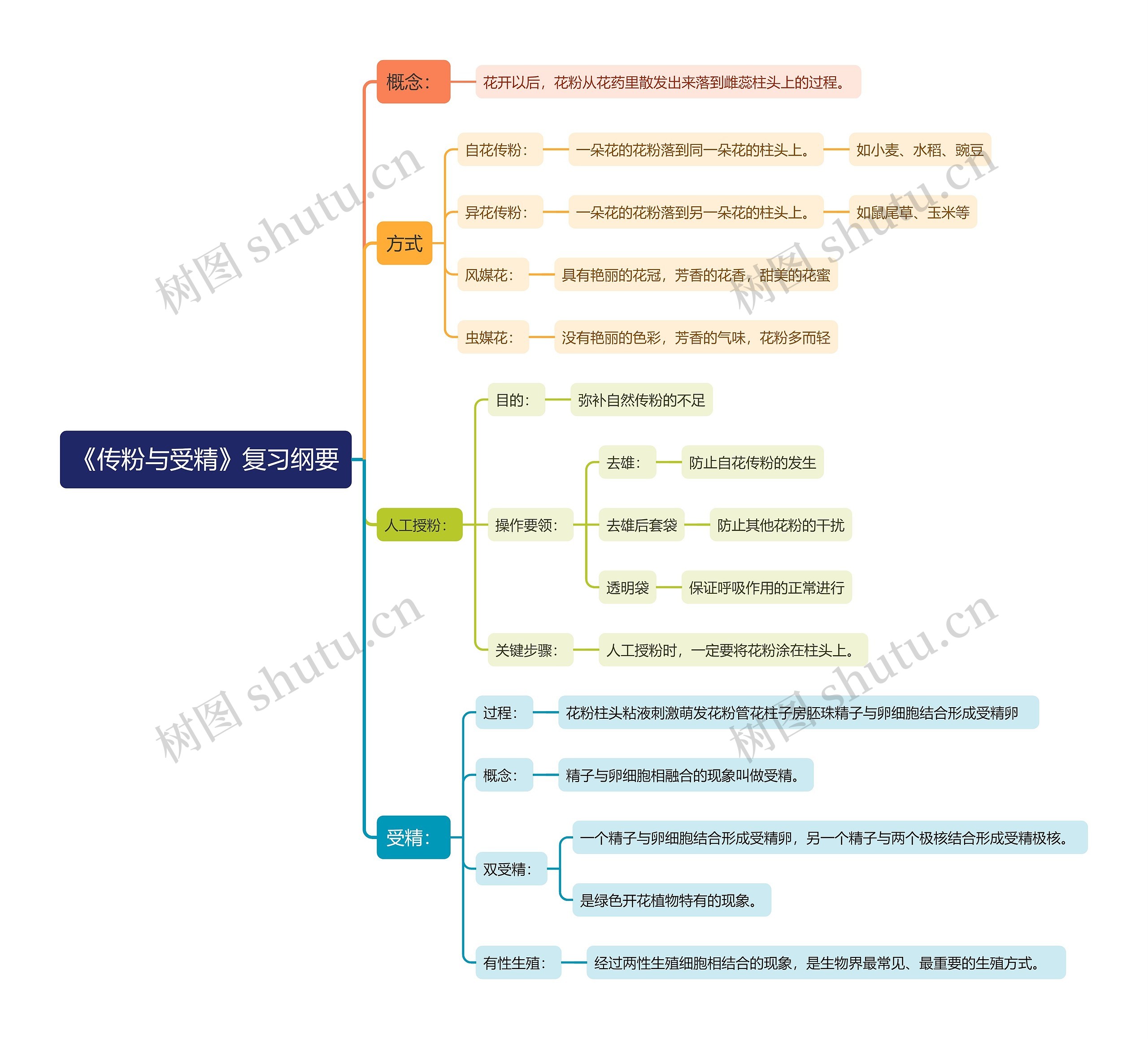 《传粉与受精》复习纲要思维导图