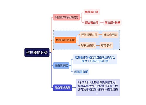 医学知识蛋白质的分类思维导图