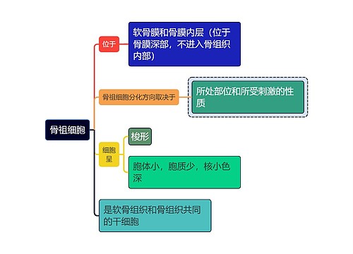 医学知识骨祖细胞思维导图