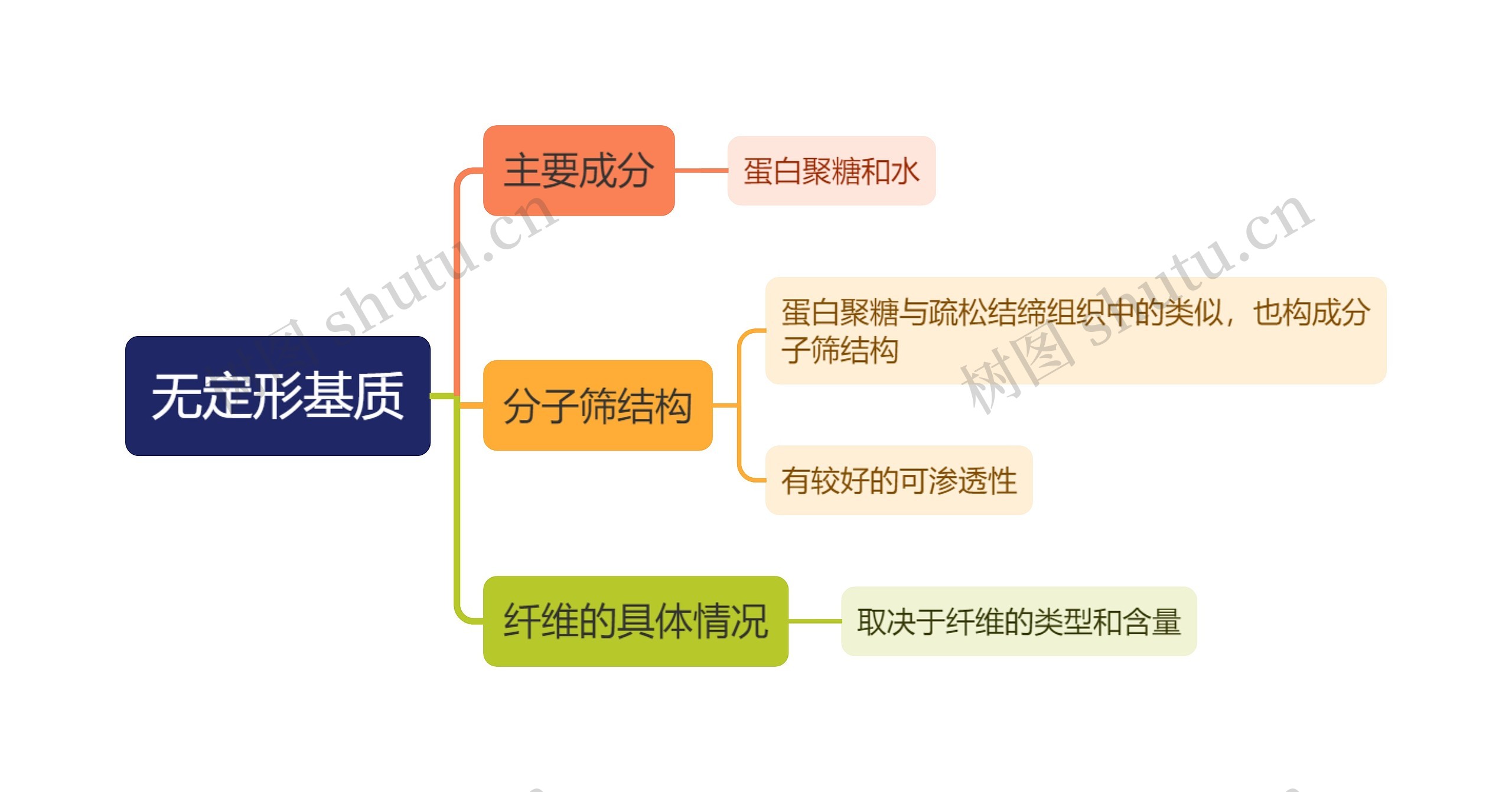 医学知识无定形基质思维导图