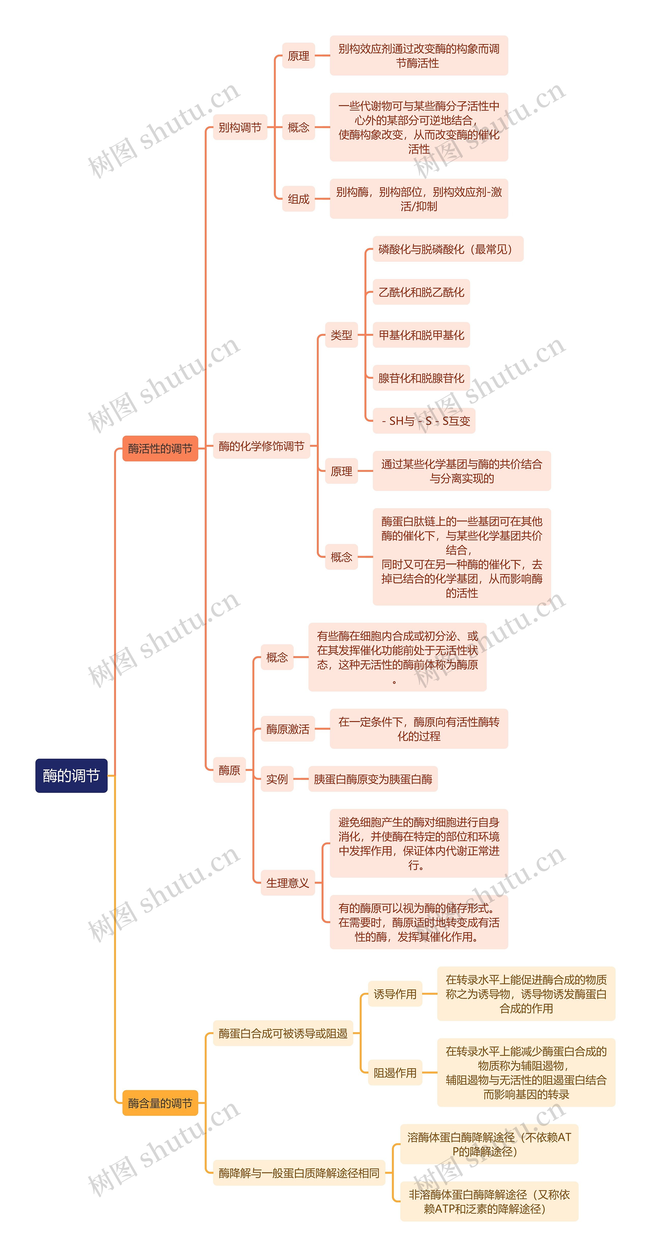 生化知识酶的调节思维导图