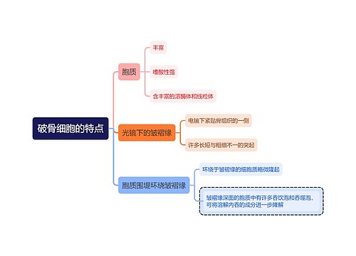 医学知识破骨细胞的特点思维导图