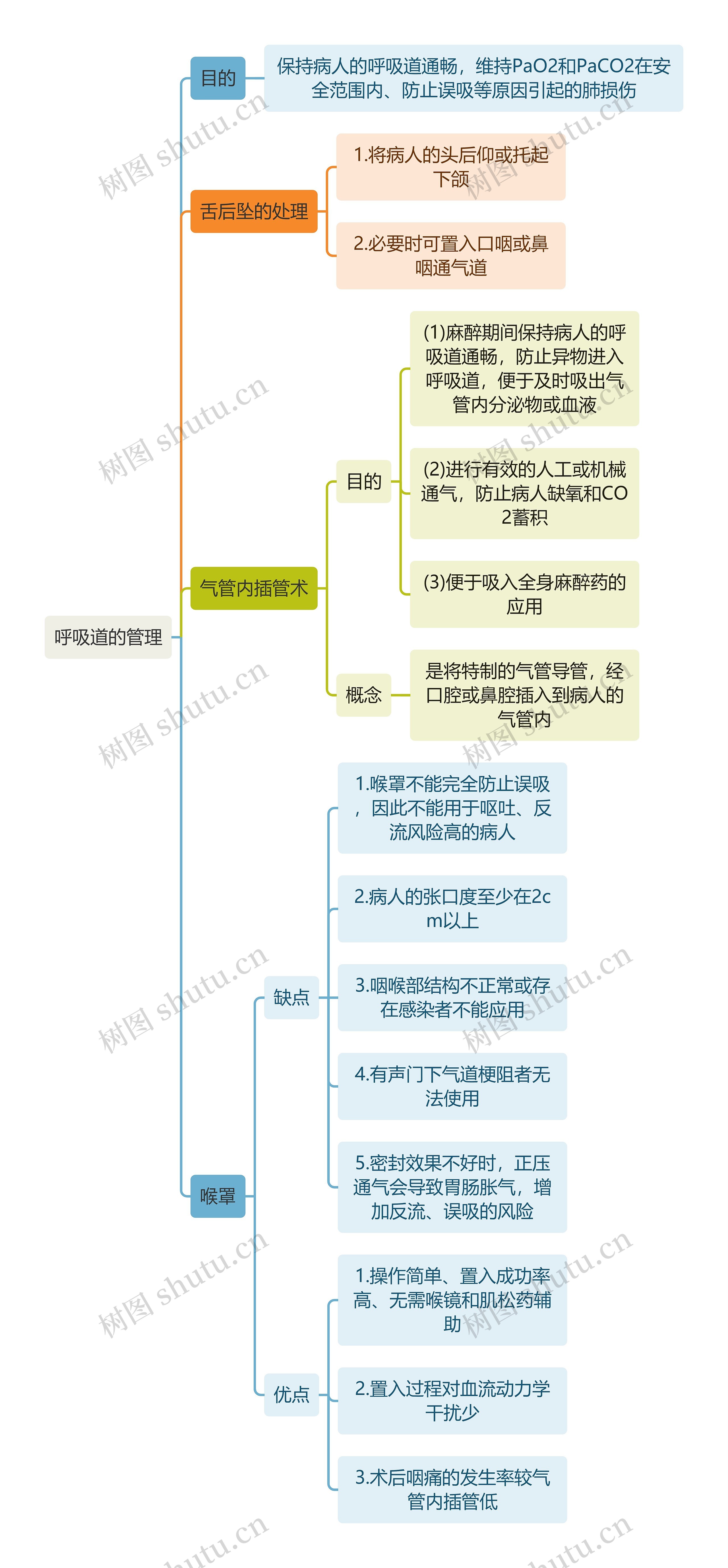 医学知识呼吸道的管理思维导图