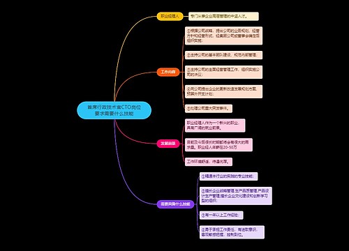 首席行政技术官CTO岗位要求需要什么技能