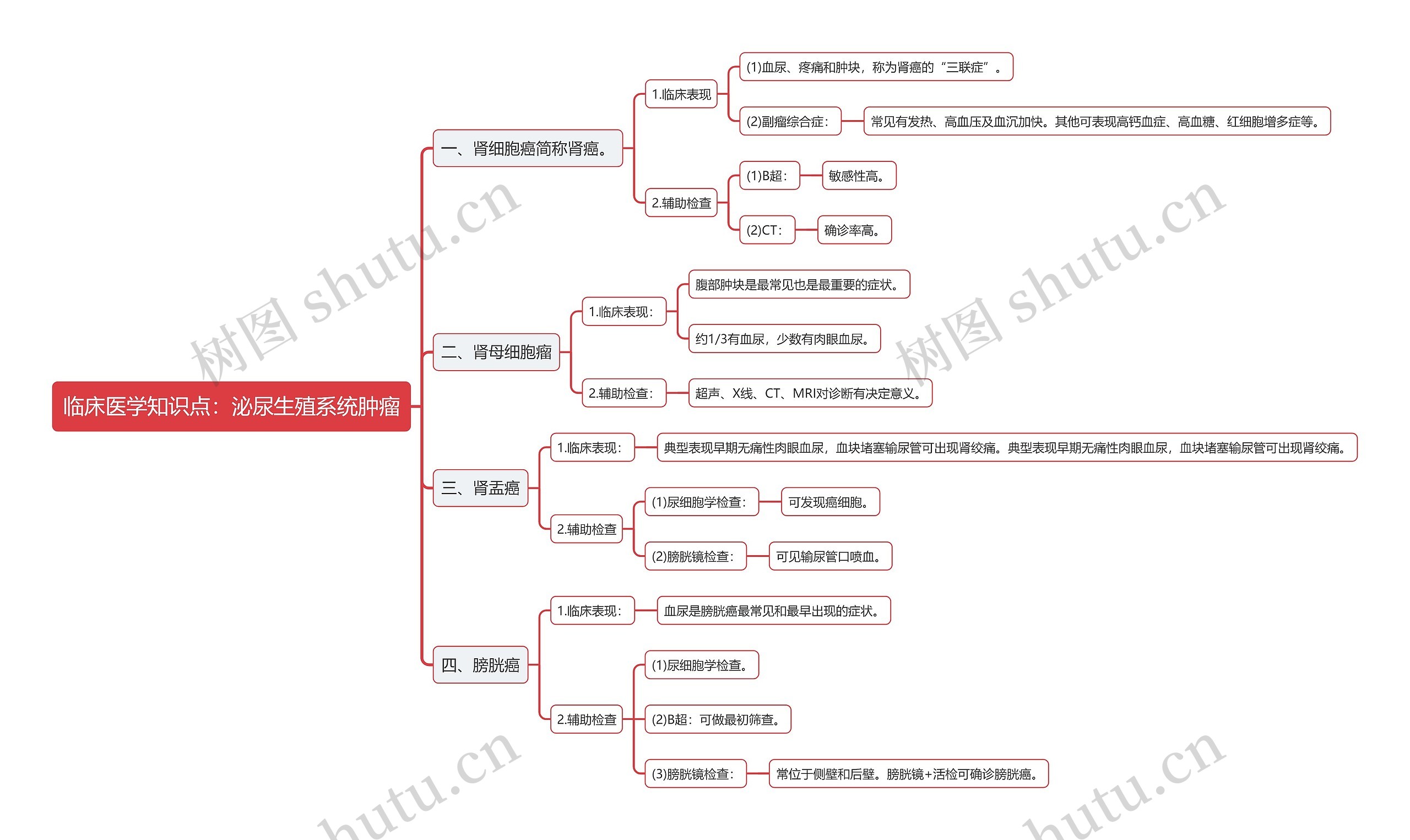 临床医学知识点：泌尿生殖系统肿瘤思维导图