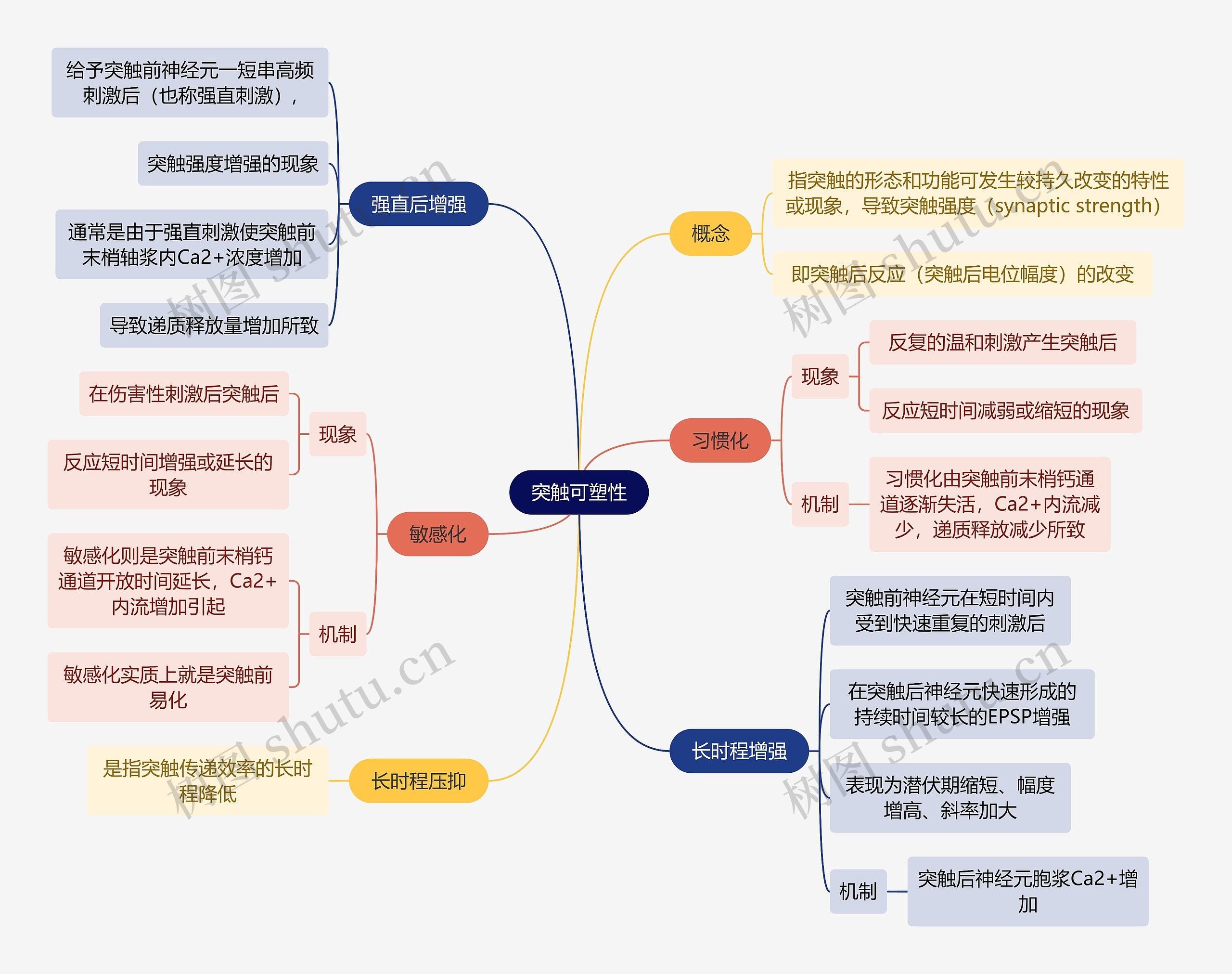 医学知识突触可塑性思维导图