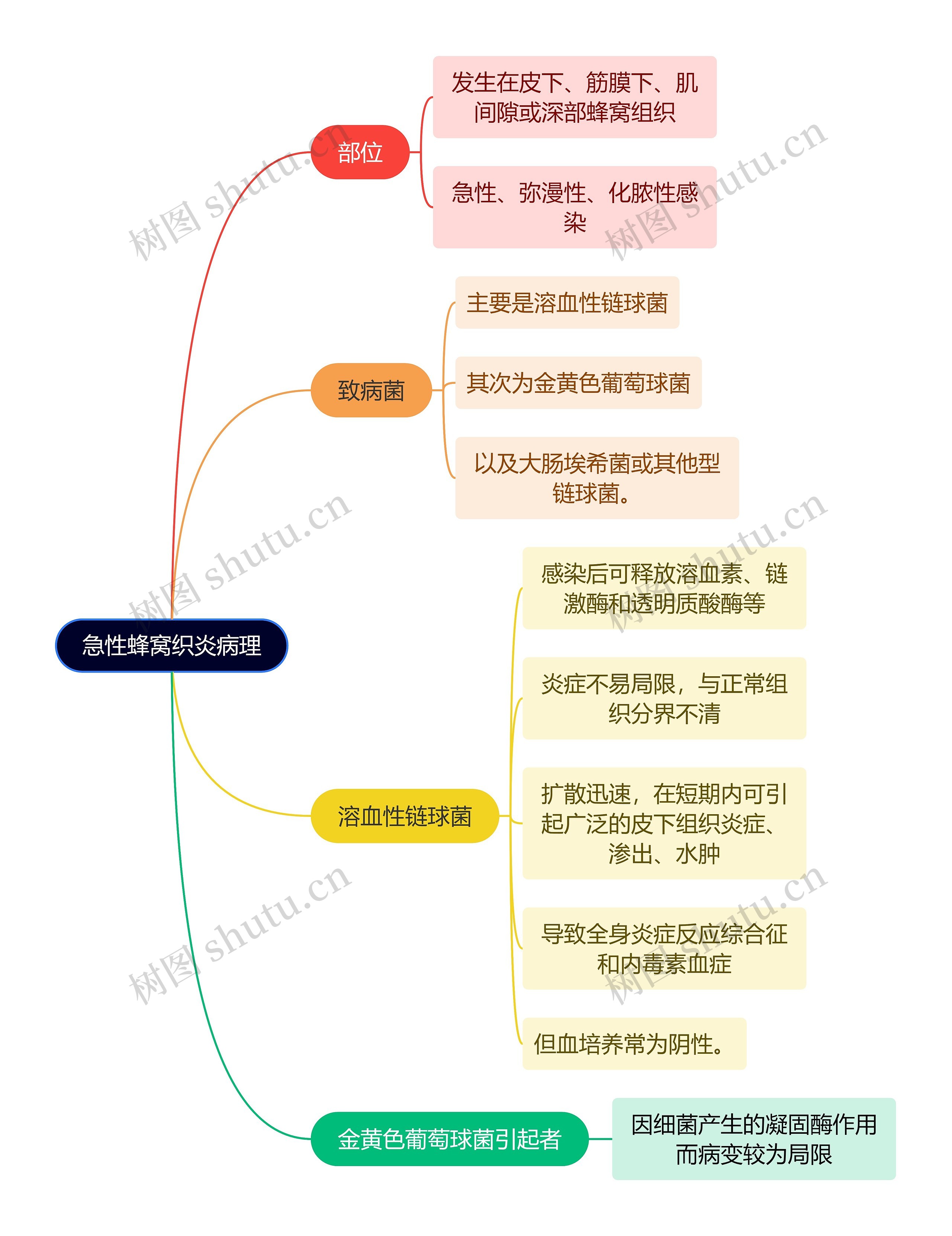 医学知识急性蜂窝织炎病理思维导图