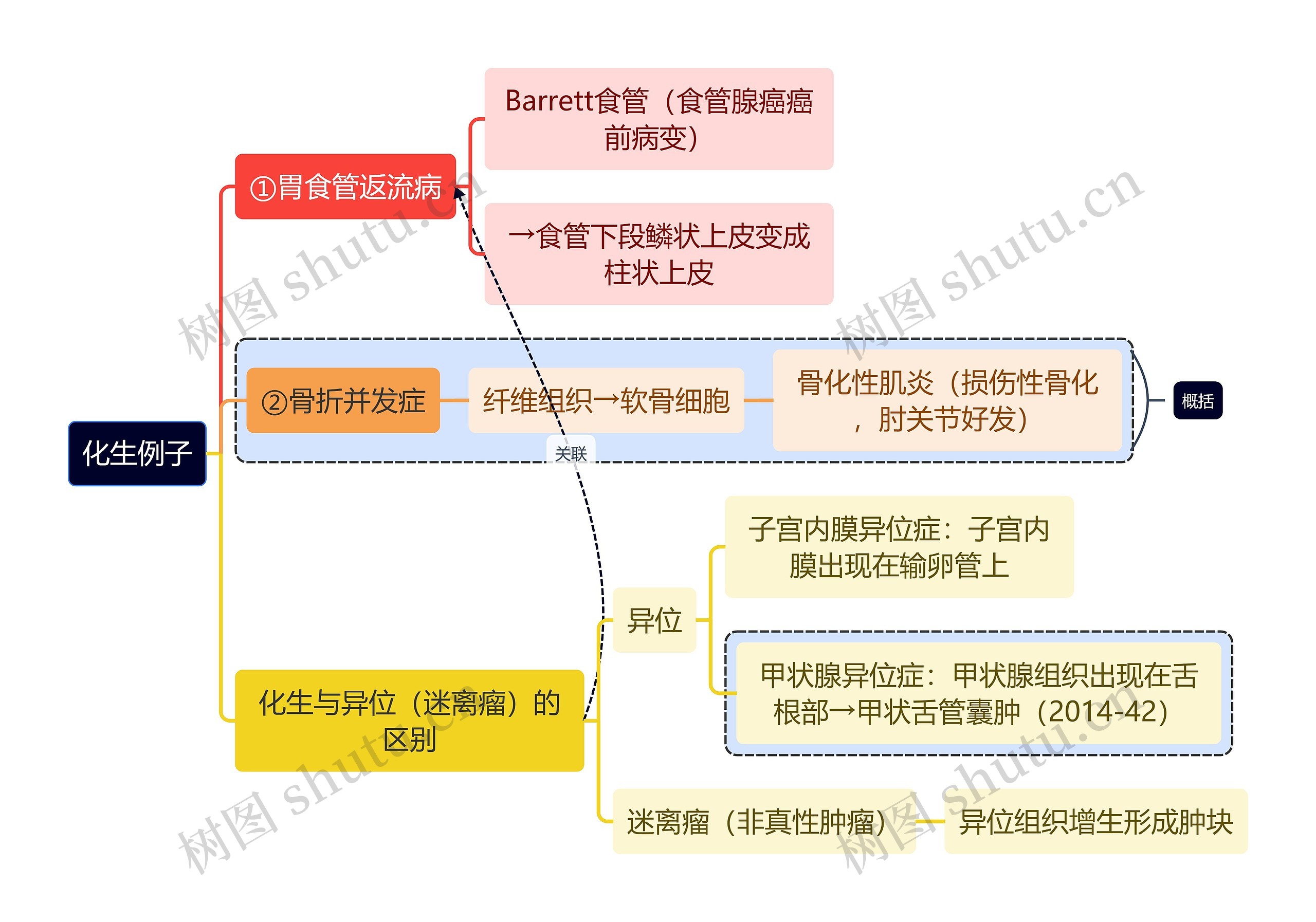 医学知识化生例子思维导图