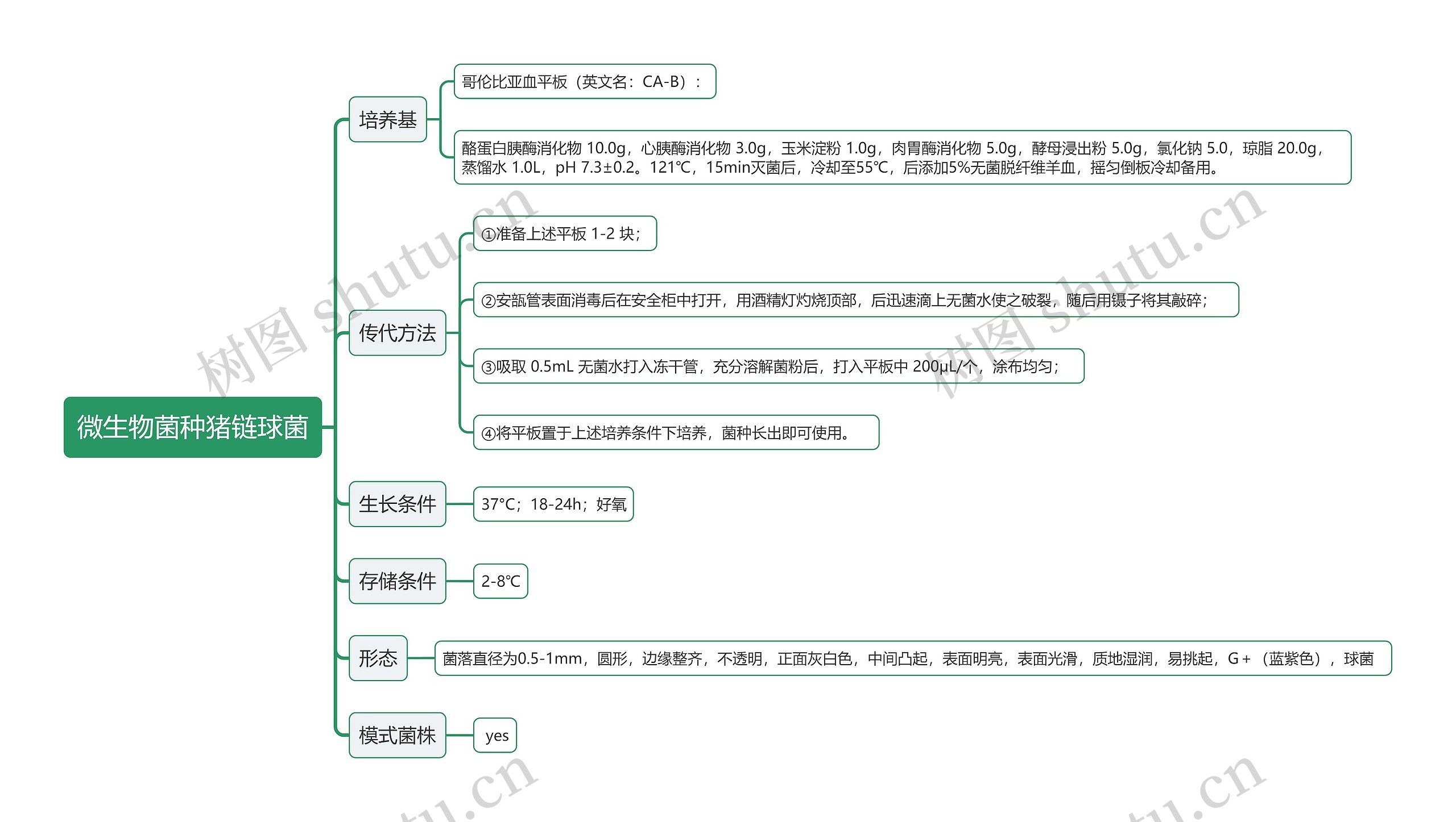 微生物菌种猪链球菌思维导图