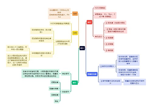 医学知识胆汁思维导图