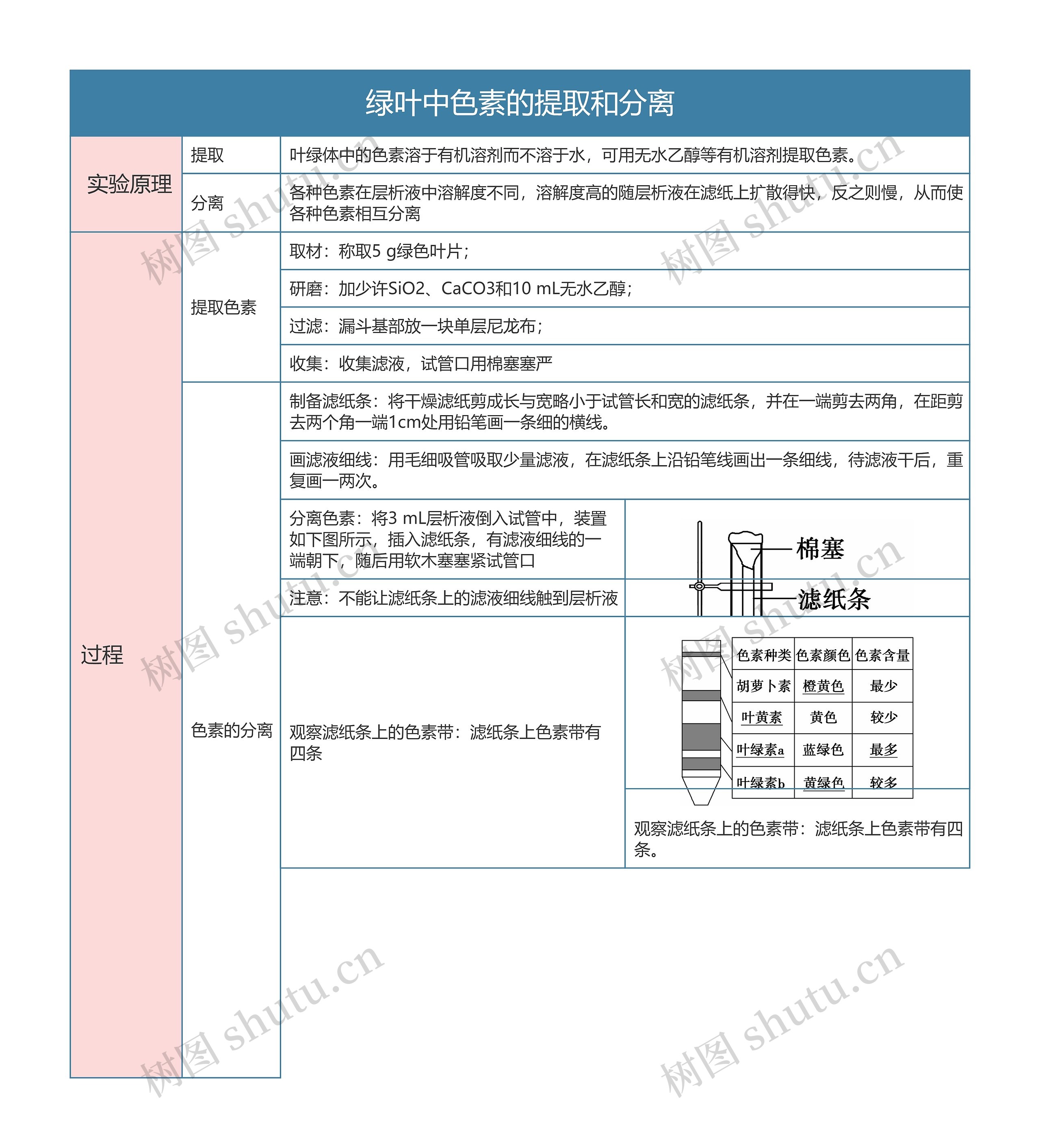 高中生物必修一绿叶中色素的提取和分离思维导图