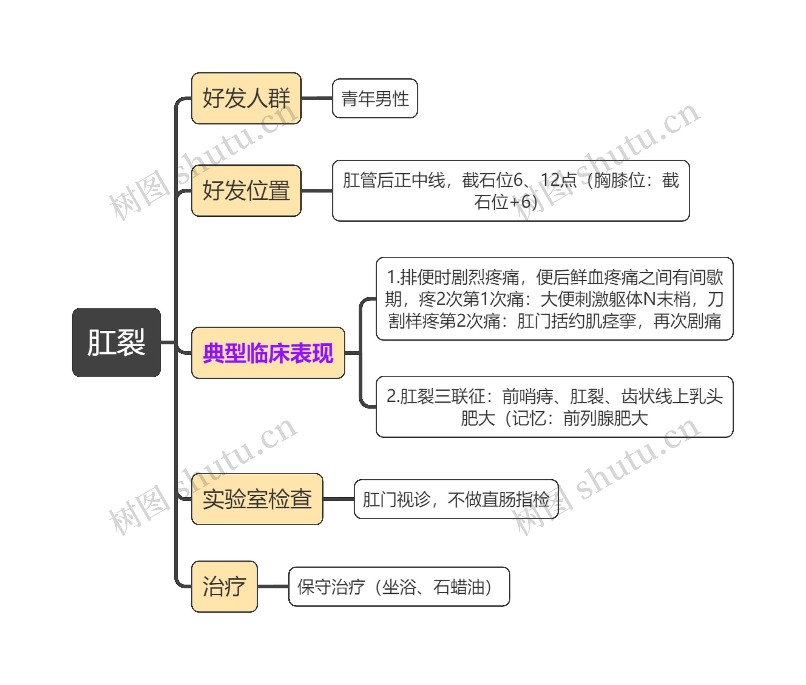 医学知识肛裂思维导图