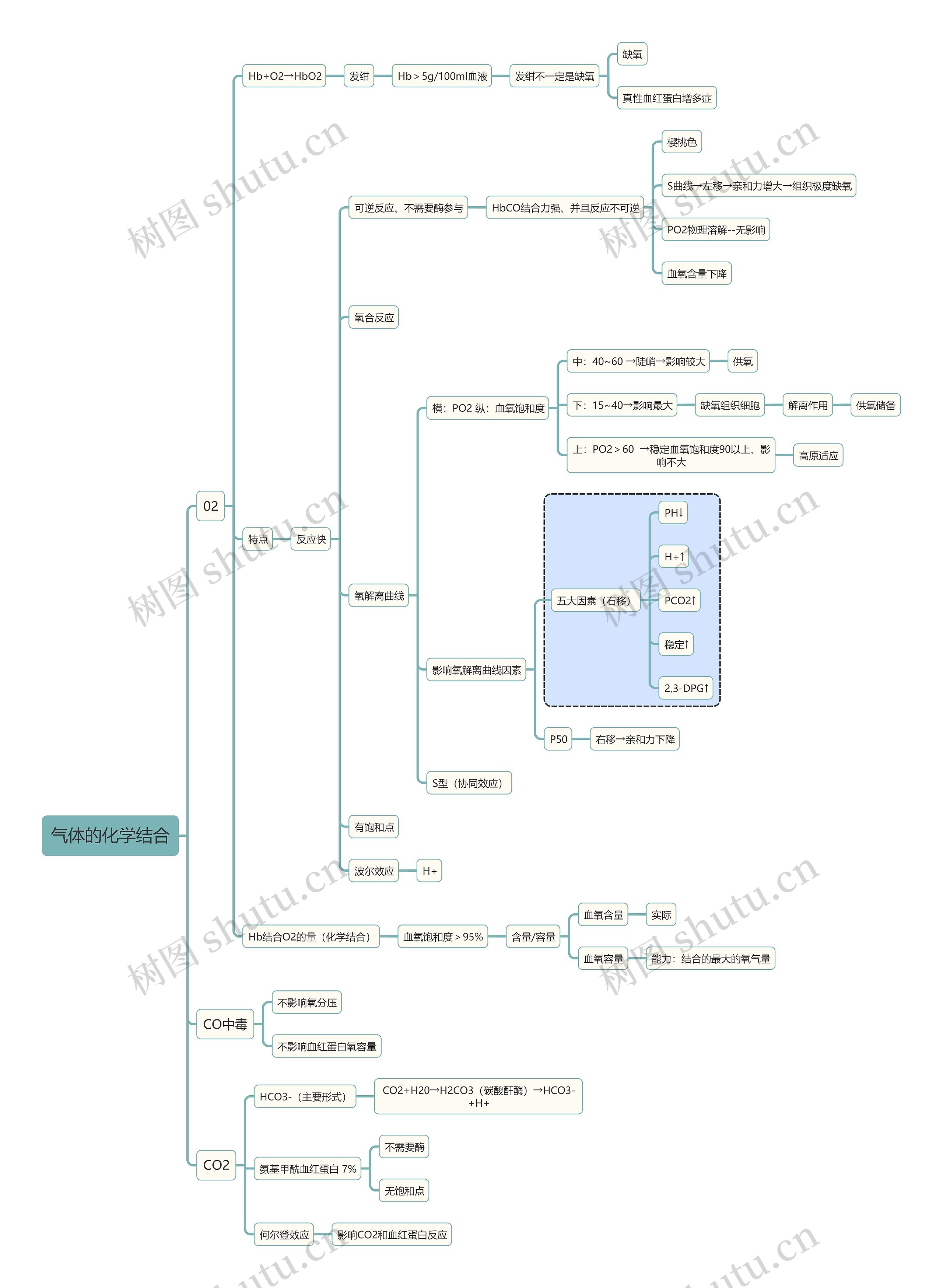 医学知识气体的化学结合思维导图