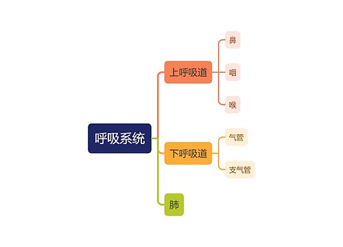 人体呼吸系统思维导图