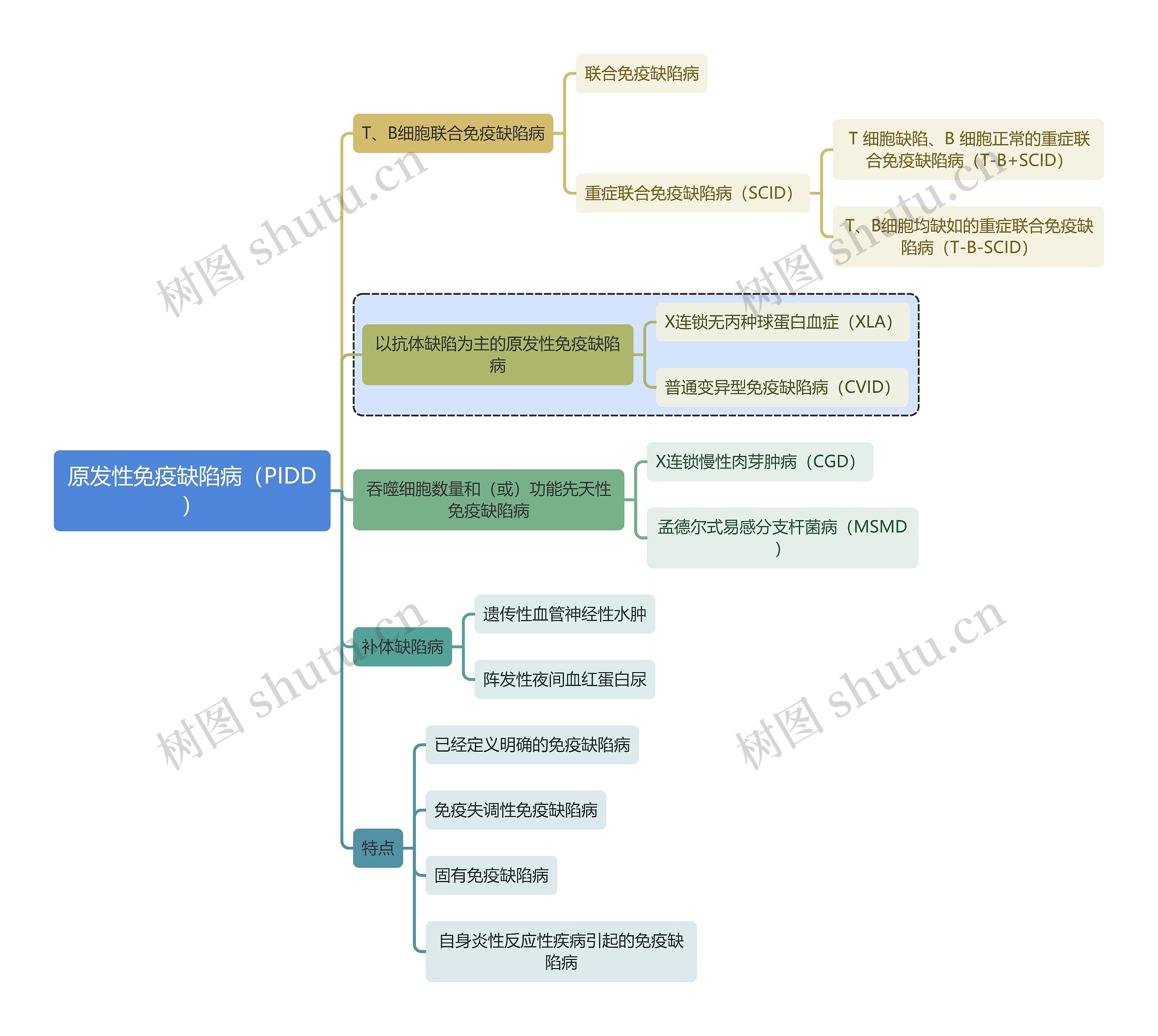 医学知识原发性免疫缺陷病（PIDD）思维导图