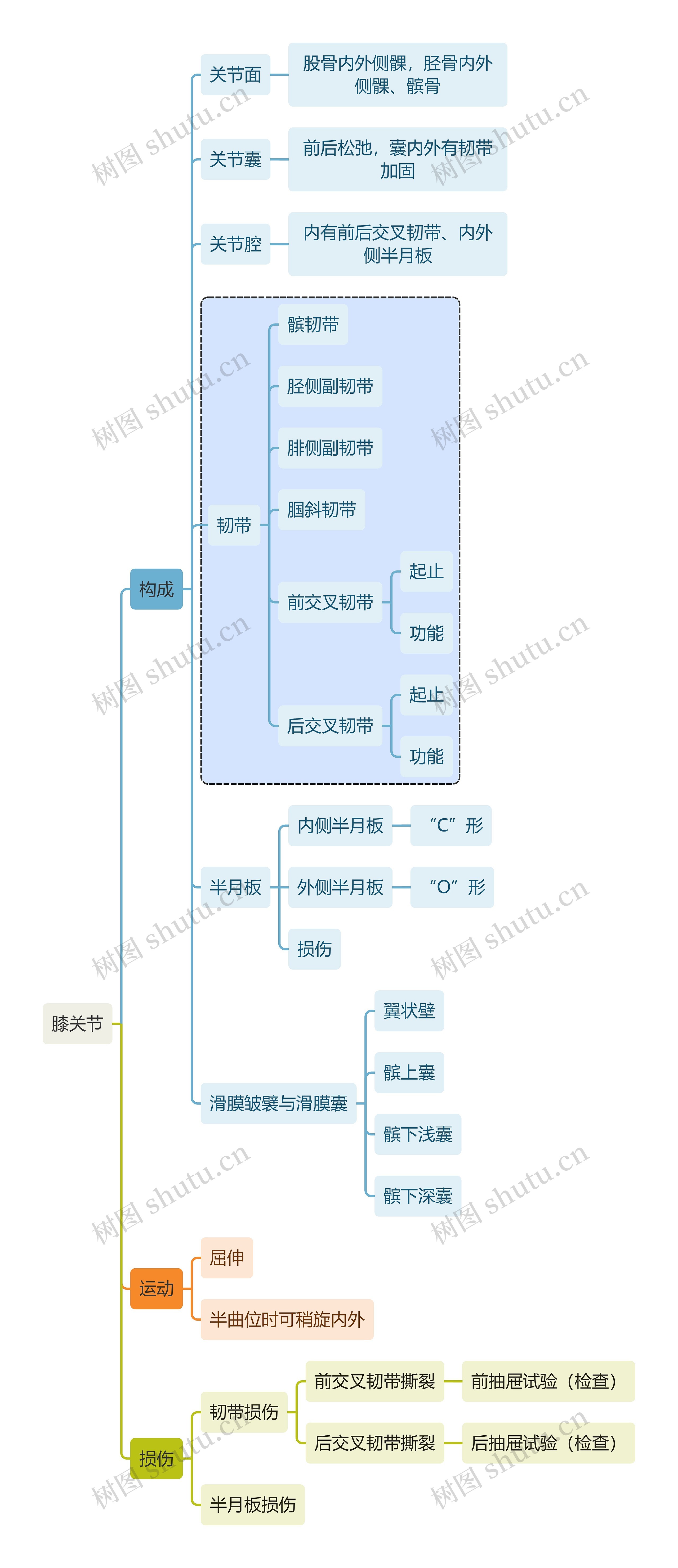 骨学知识膝关节思维导图