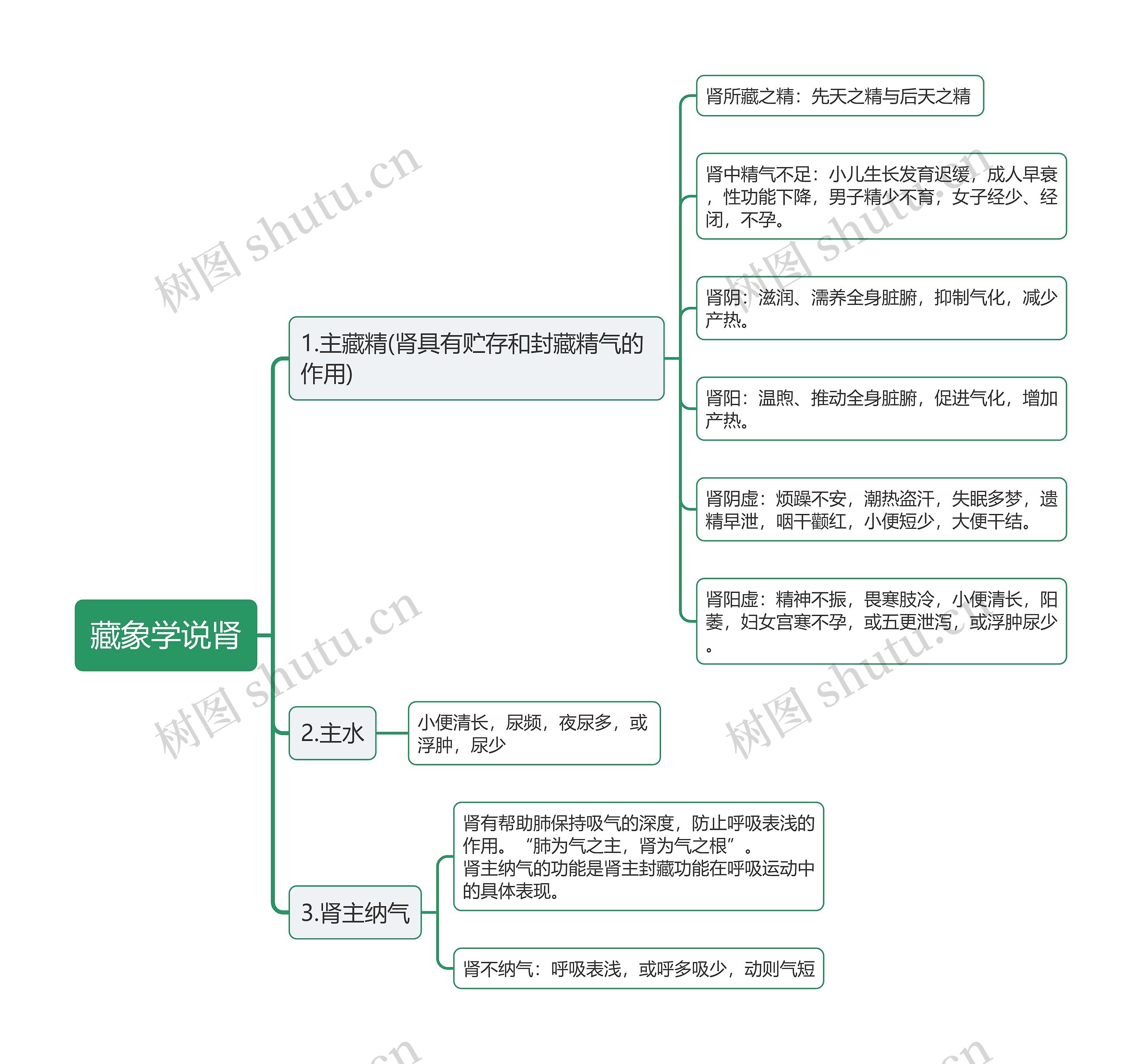 ﻿藏象学说肾思维导图