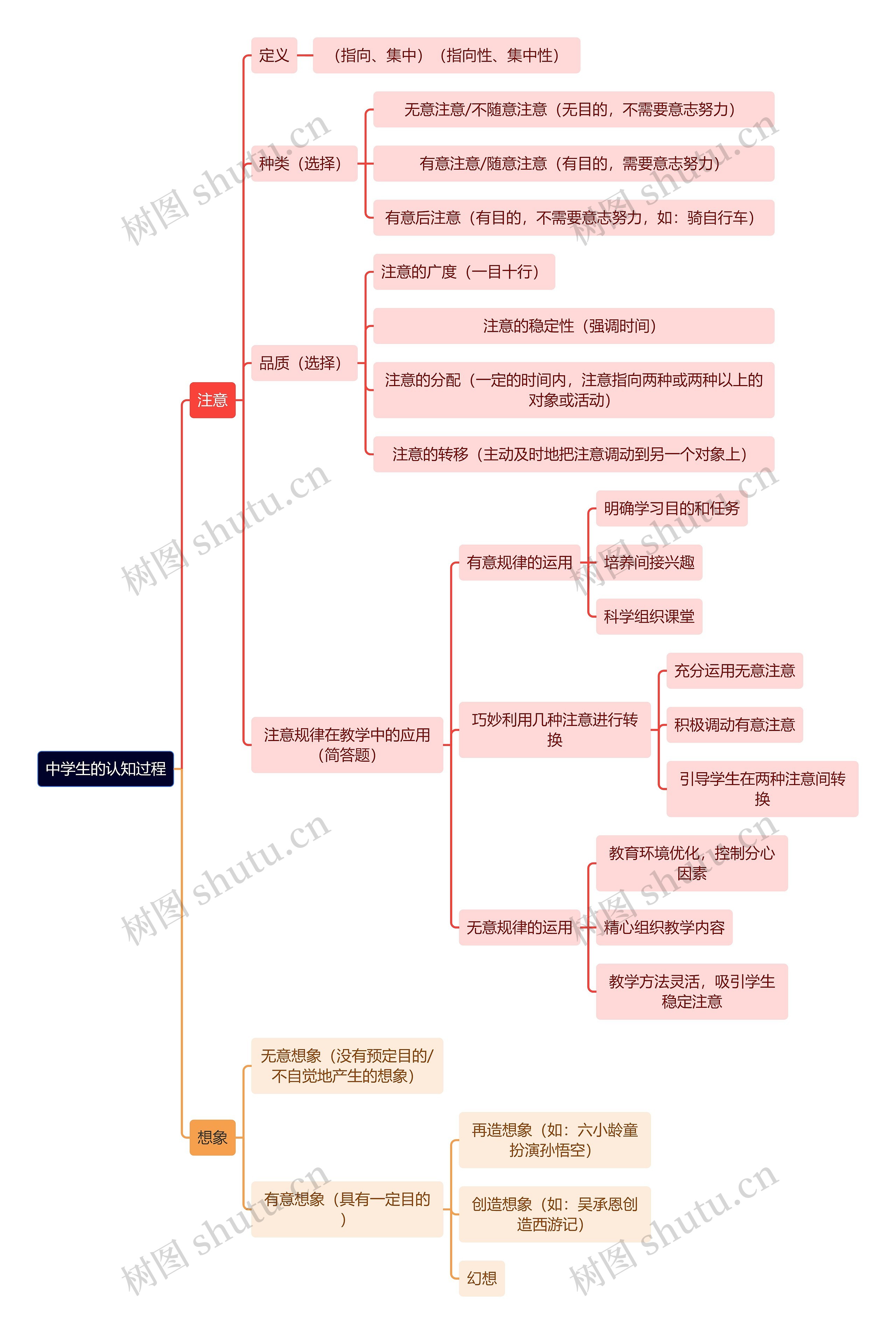 教资知识中学生的认知过程思维导图