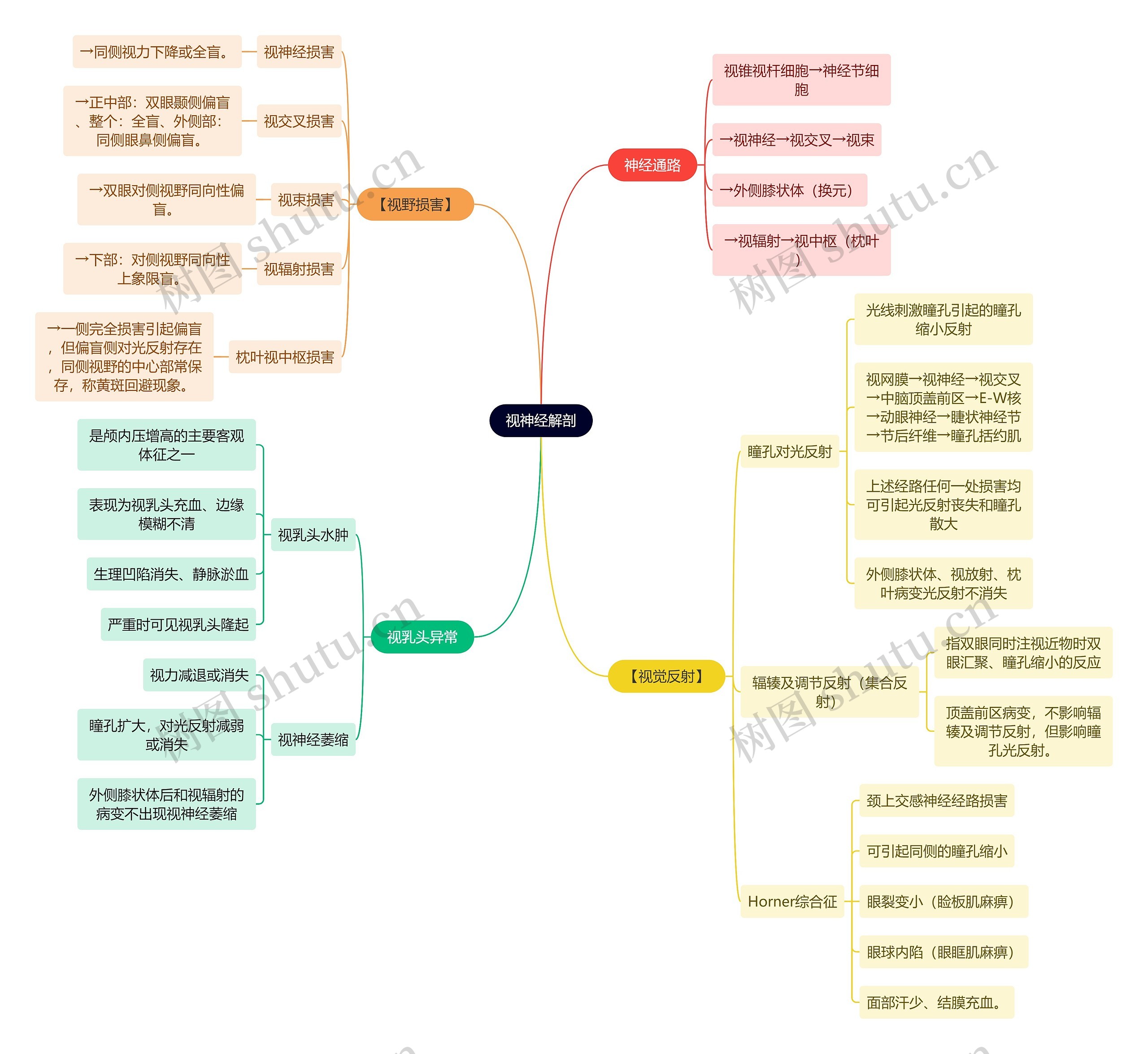 解剖学知识视神经解剖思维导图