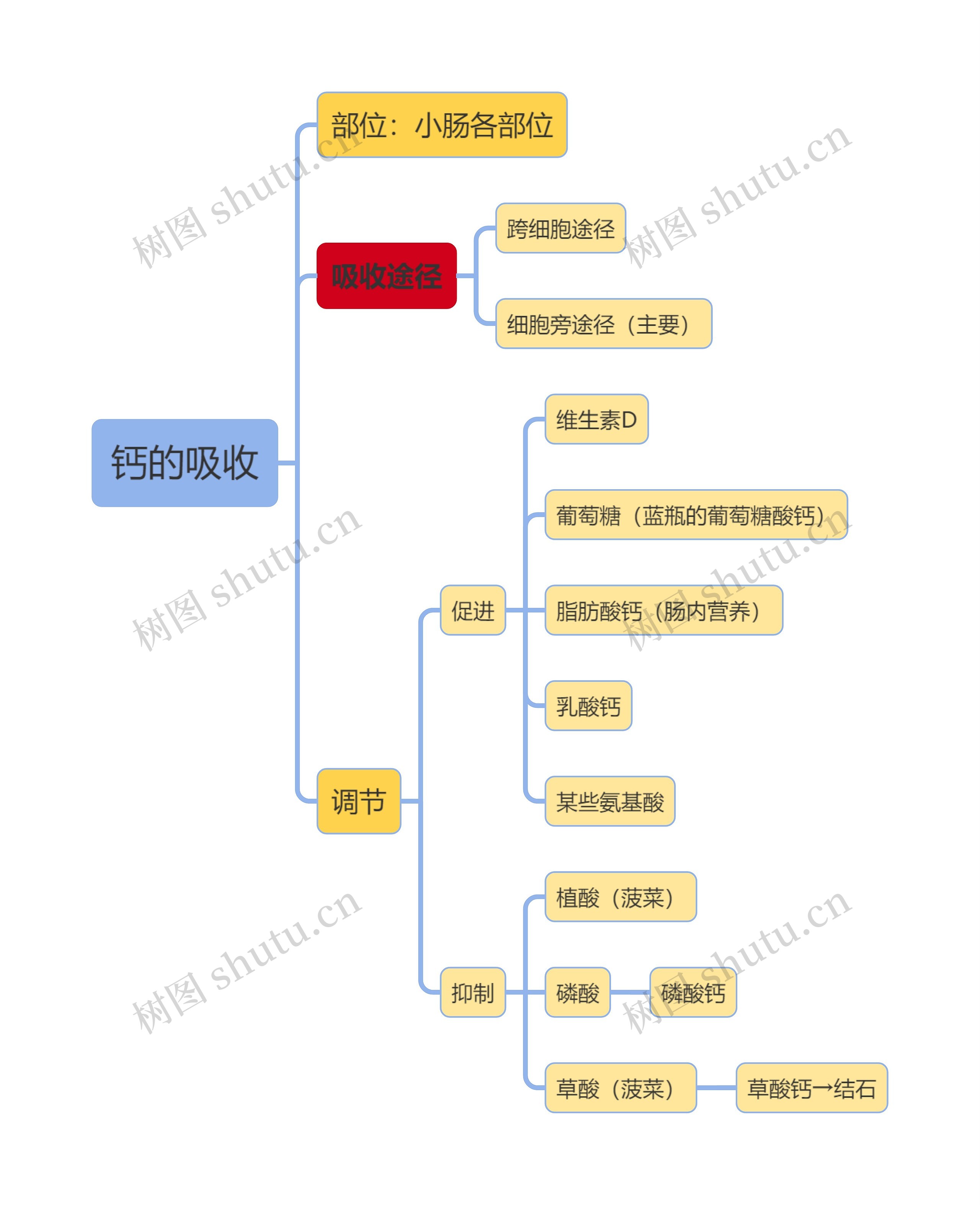 医学知识钙的吸收思维导图高清图 医学知识钙的吸收思维导图
