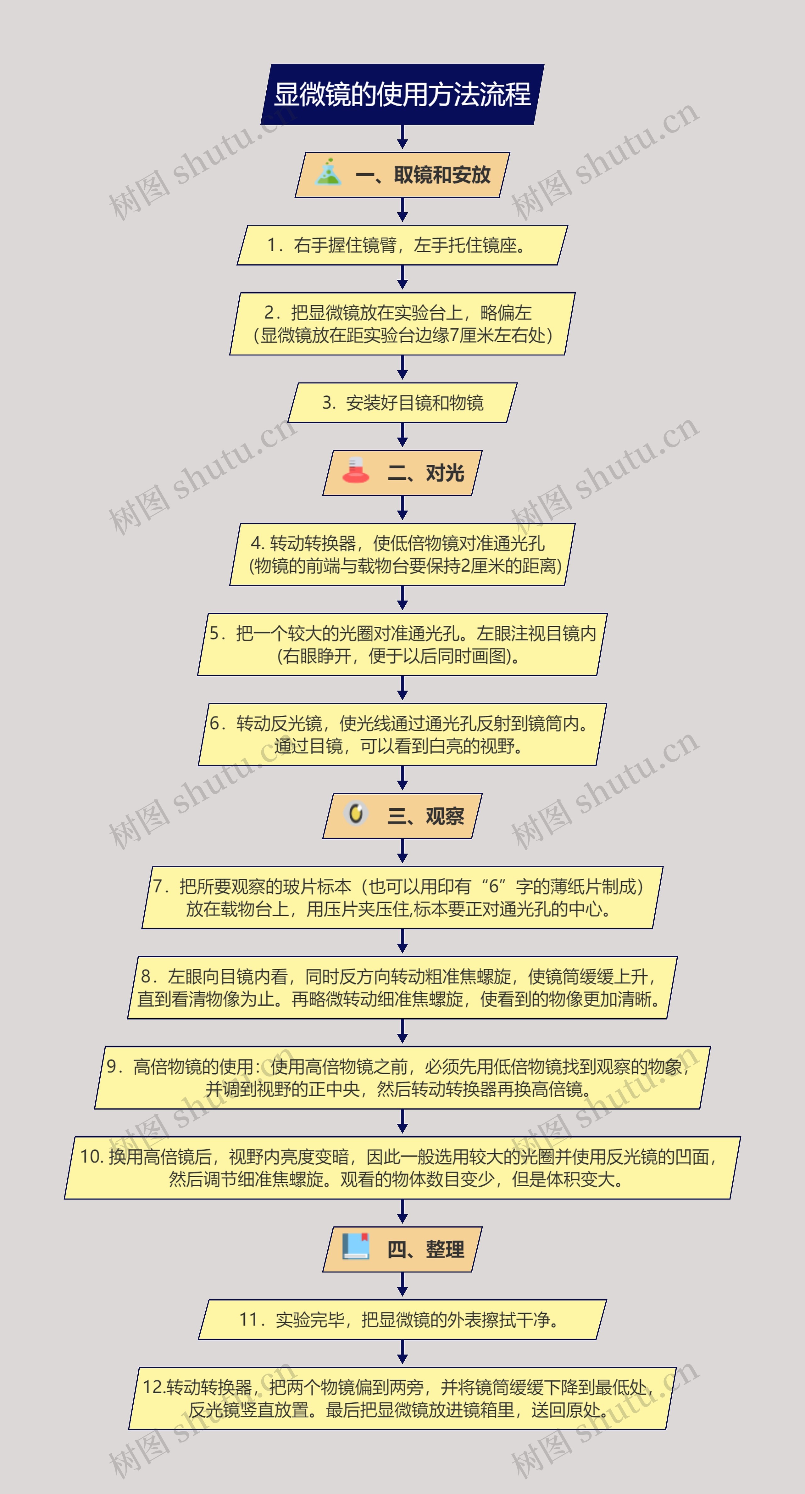 显微镜的使用方法流程