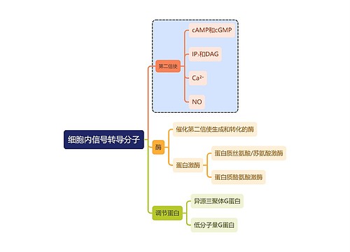 医学知识细胞内信号转导分子思维导图