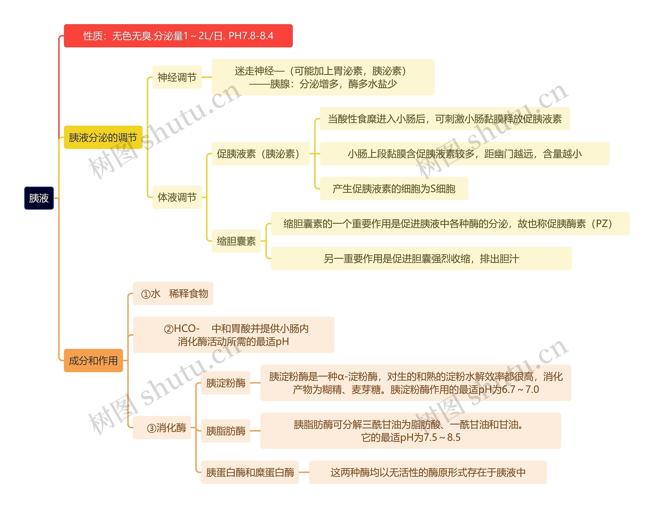 医学知识胰液思维导图