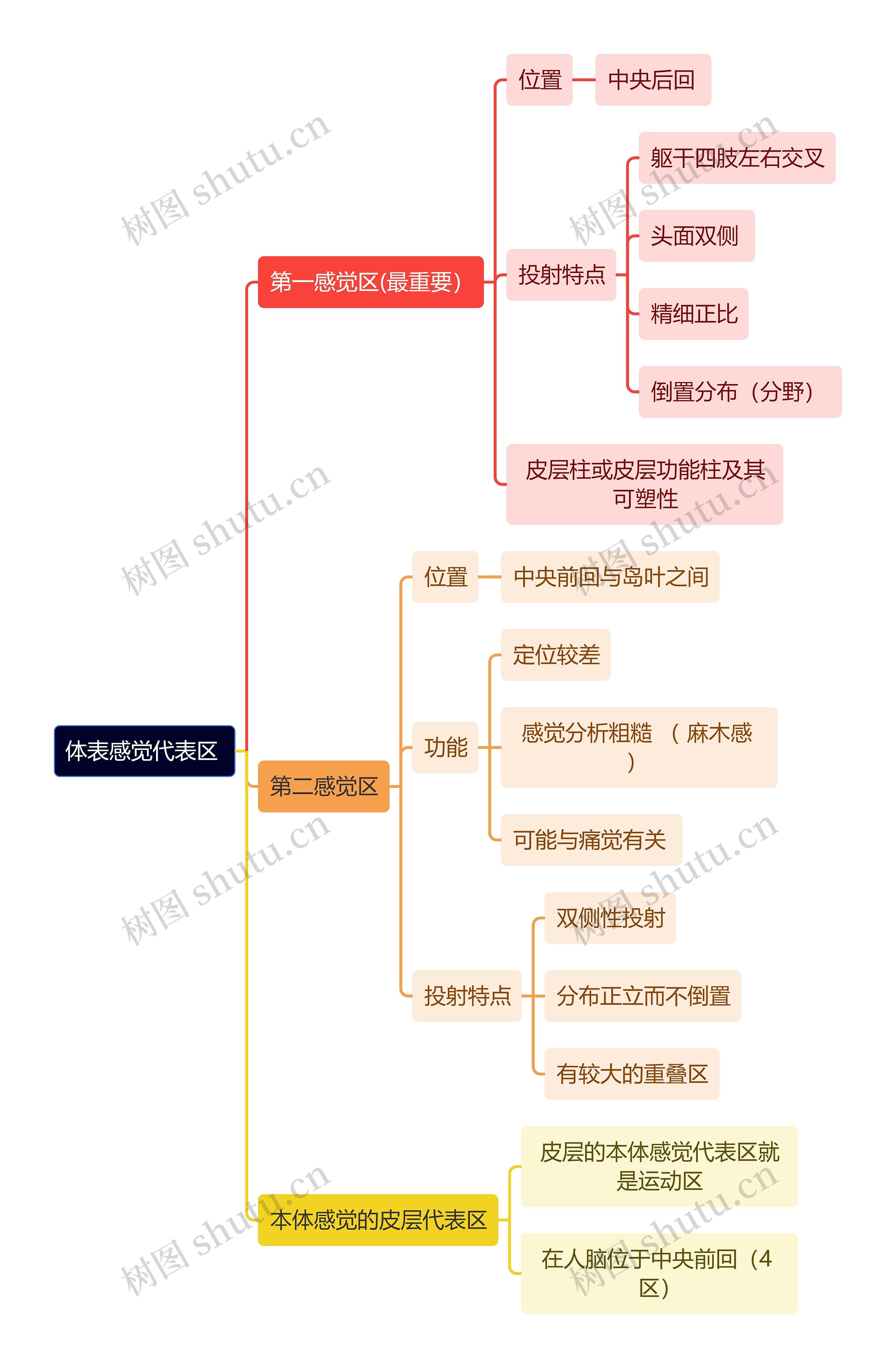 医学知识体表感觉代表区思维导图