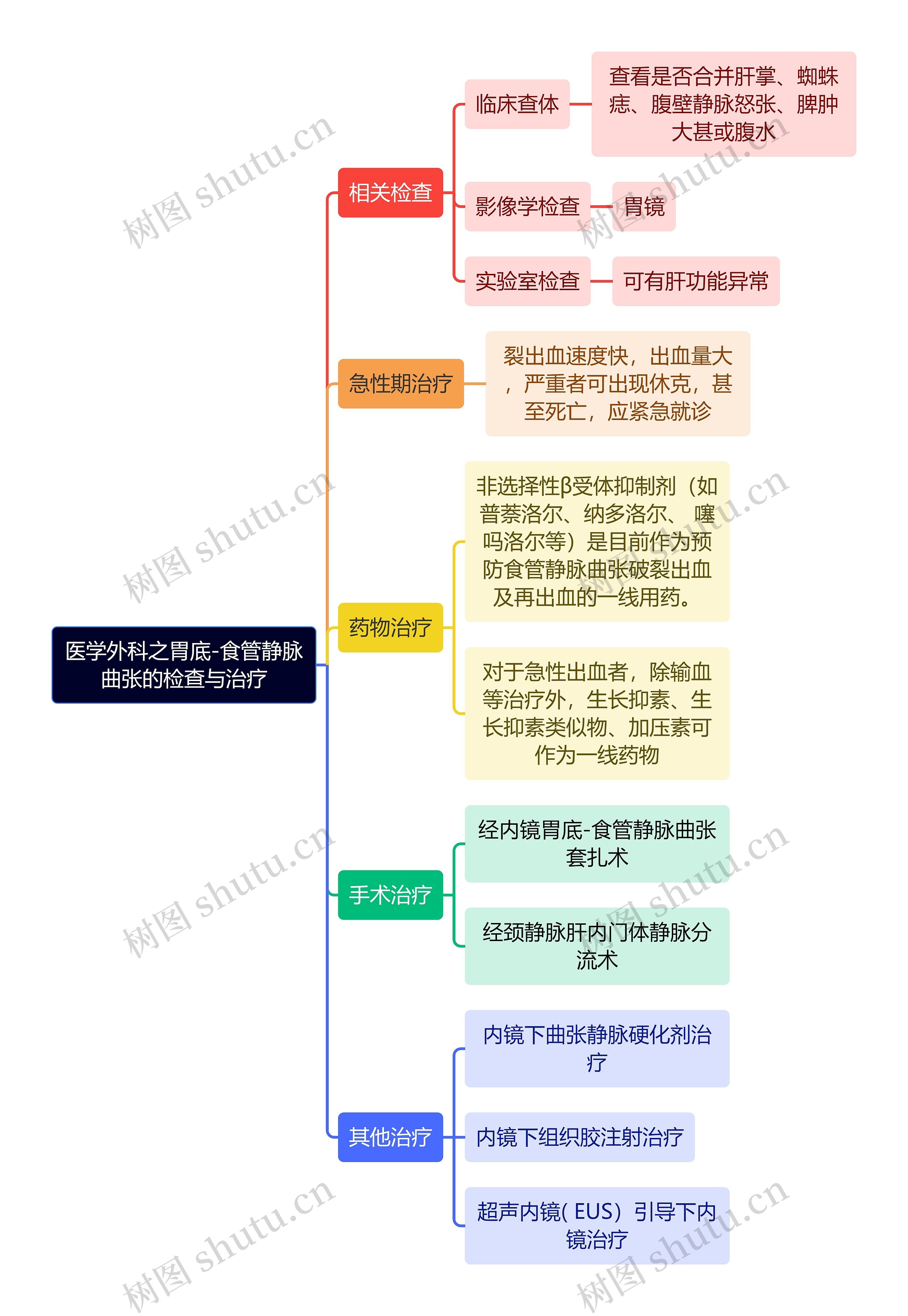 医学外科之胃底-食管静脉曲张的检查与治疗