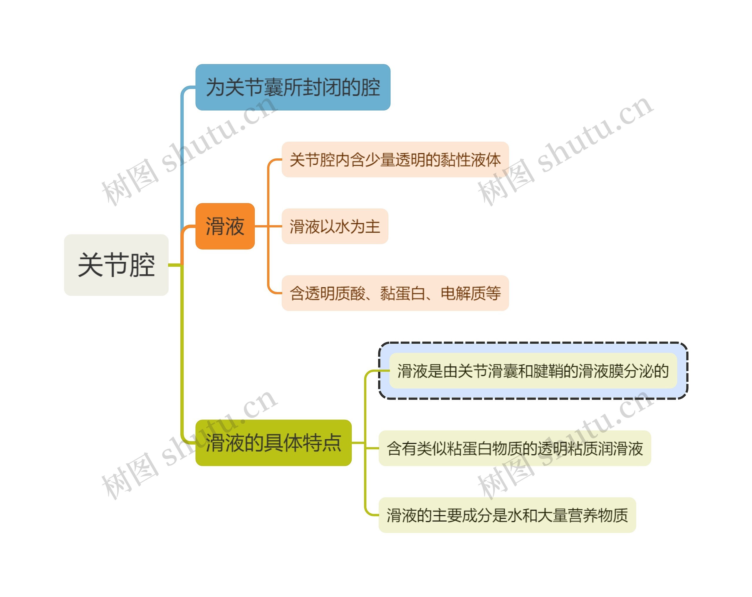 医学知识关节腔思维导图